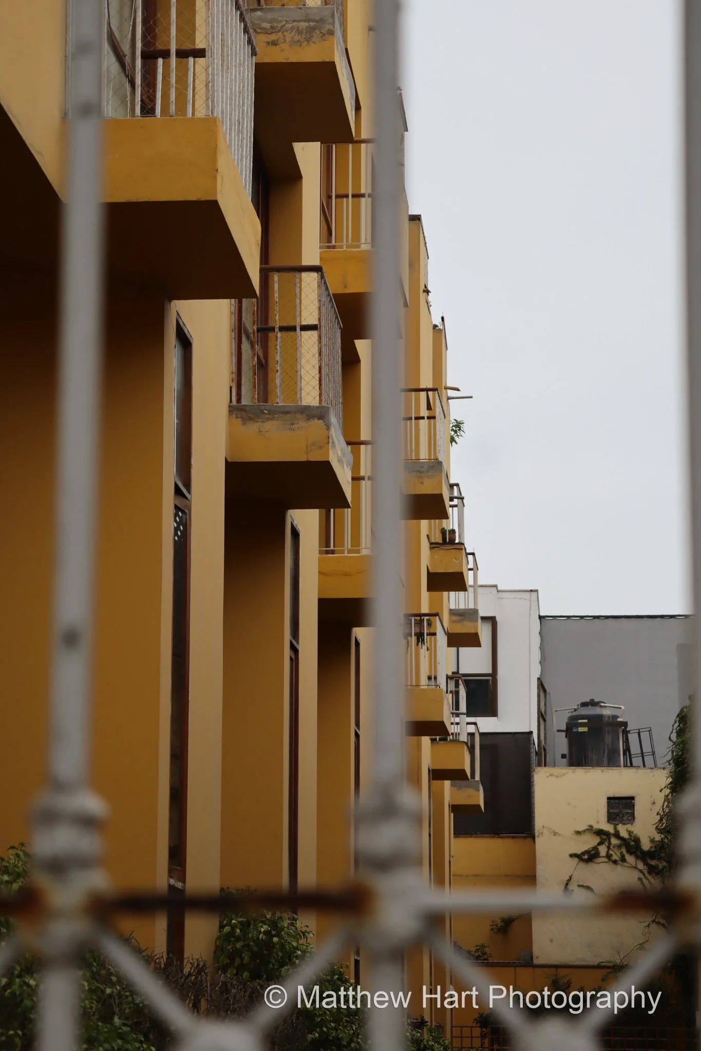Balcones Amarillos