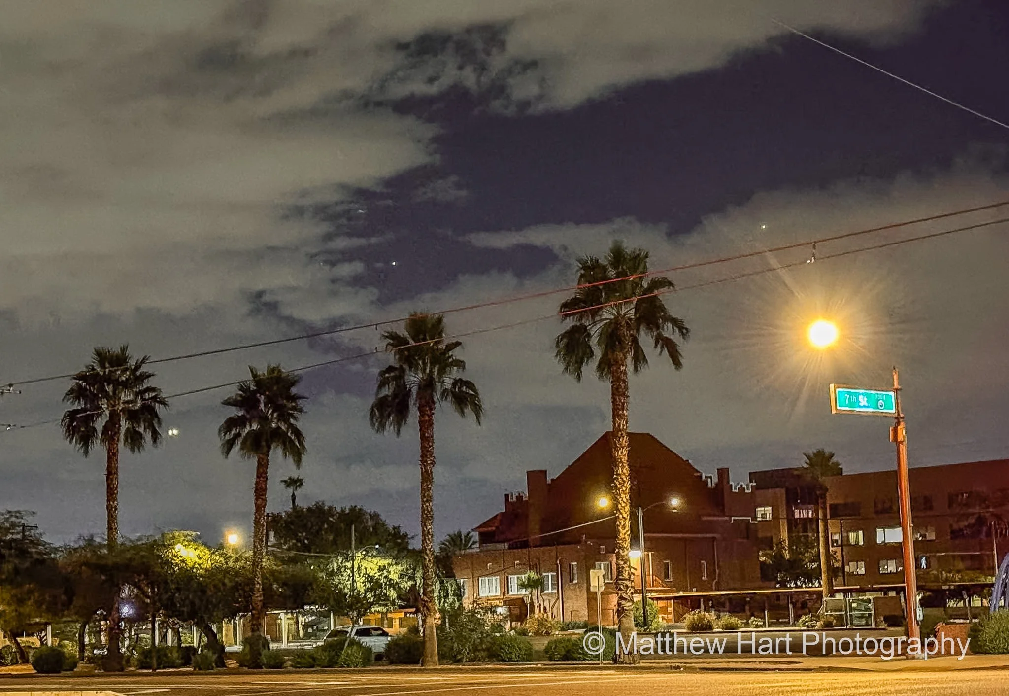 Desert Palms at Night