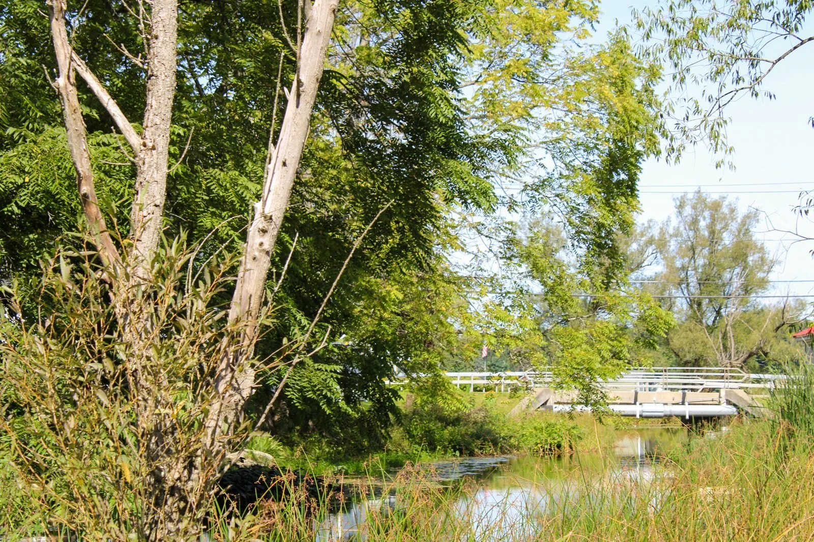 Creek and bridge, eco-tourism