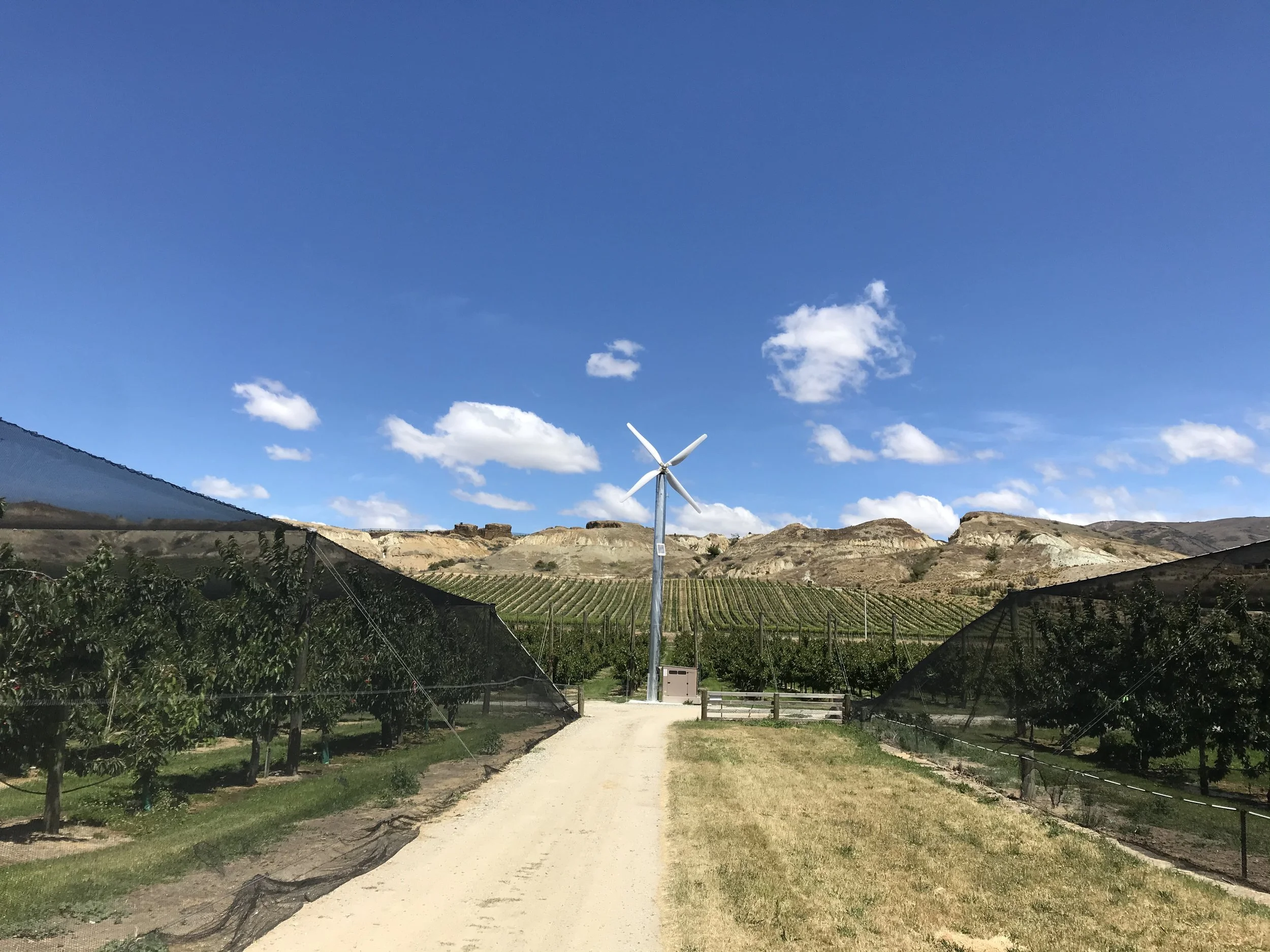 A Central Otago landscape with a wind turbine, rolling hills, and cherry orchards under a bright blue sky with scattered clouds.