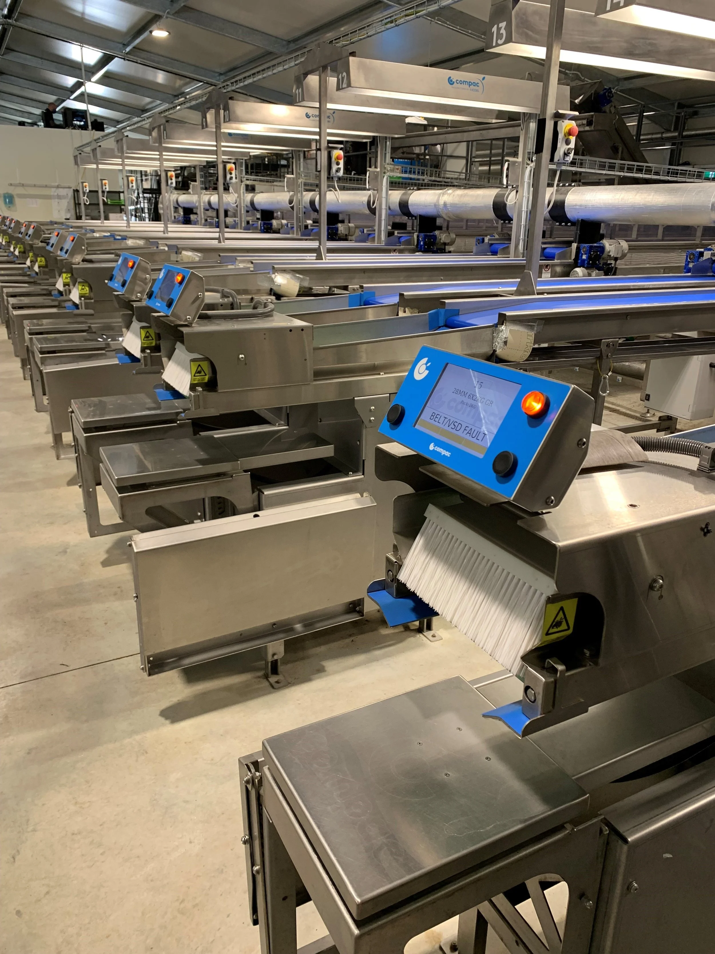 Cherry packhouse packing line with metal rollers, scales, control panels, and warning signs in an industrial facility.