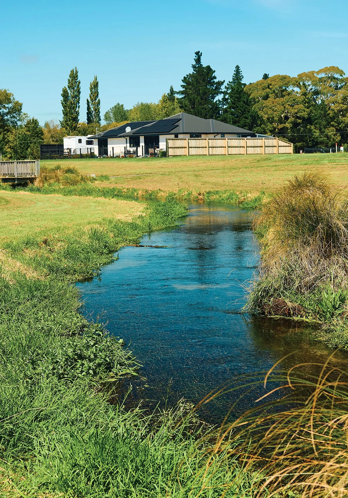 Taranaki Stream, Streamside Ravenswood