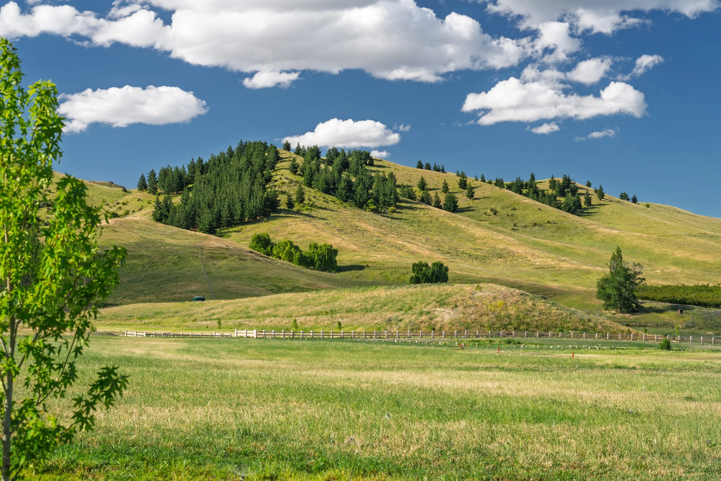 A scenic landscape featuring rolling green hills with scattered trees, a blue sky with fluffy white clouds, and a small fenced area at the foreground.