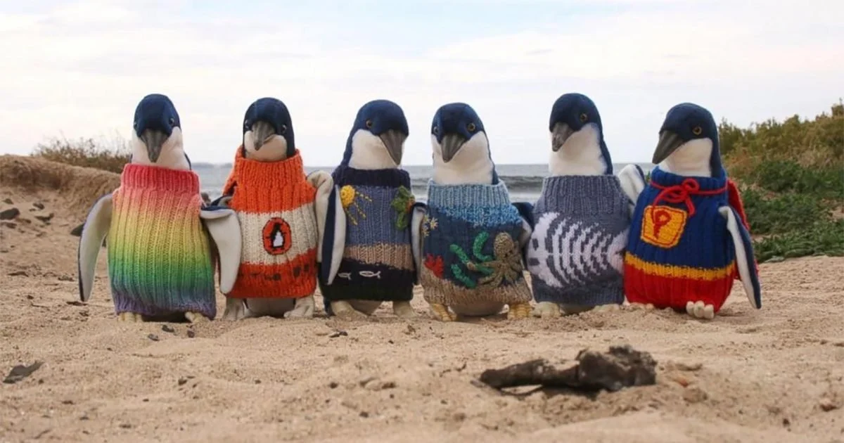 Penguins
