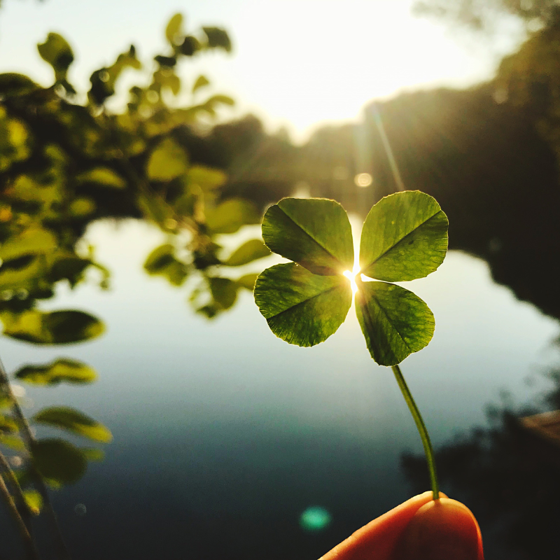 Finding and Keeping Awesome Fundraisers