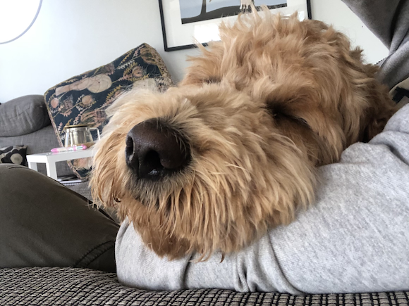 Sleepy