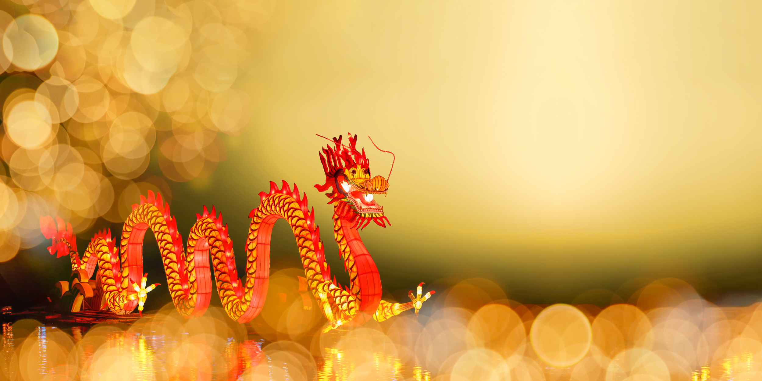 Year of the Dragon