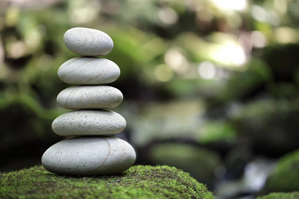 Wellbeing Webinars