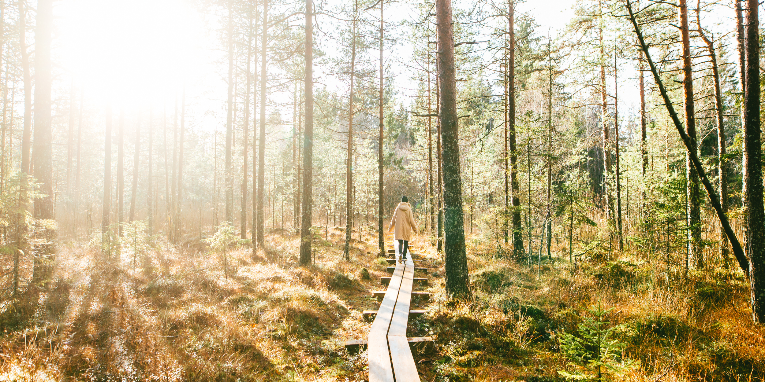 End-of-Year Hustle: A Guide to Finishing Strong