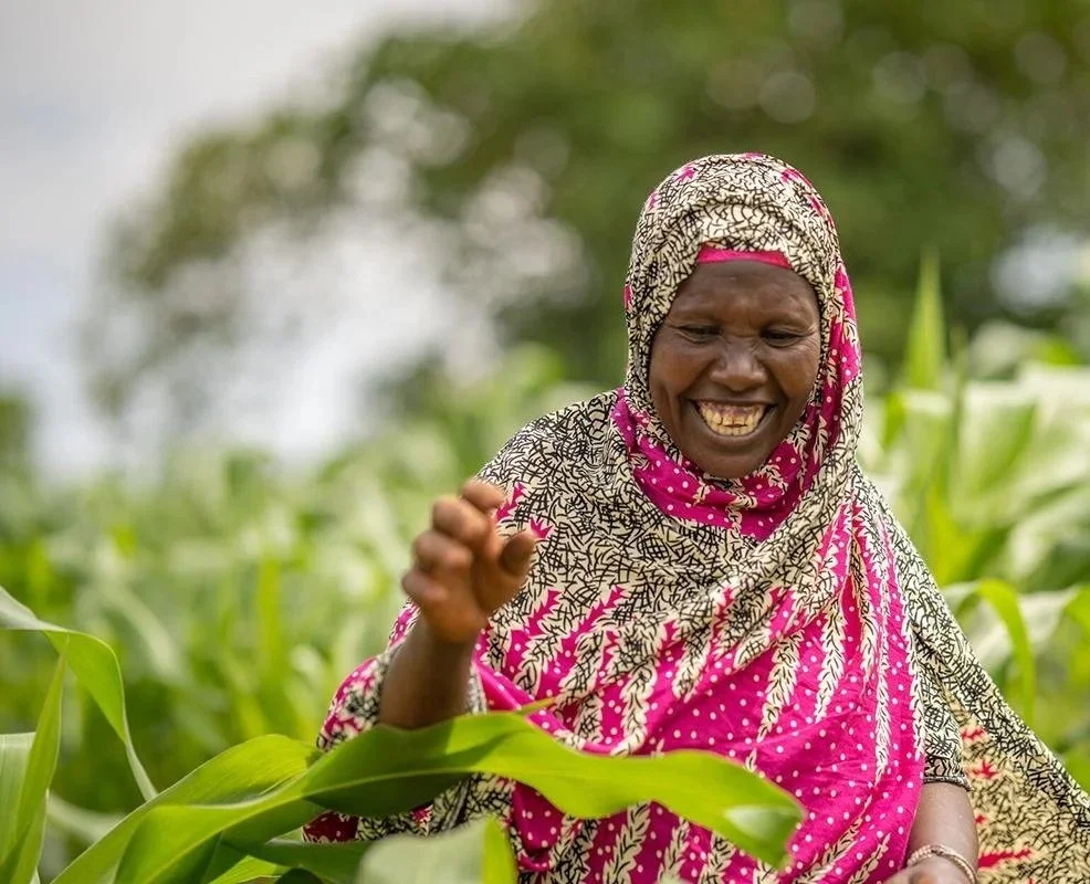A woman in a colorful patterned dress and headscarf smiling and interacting with green plants in a field.