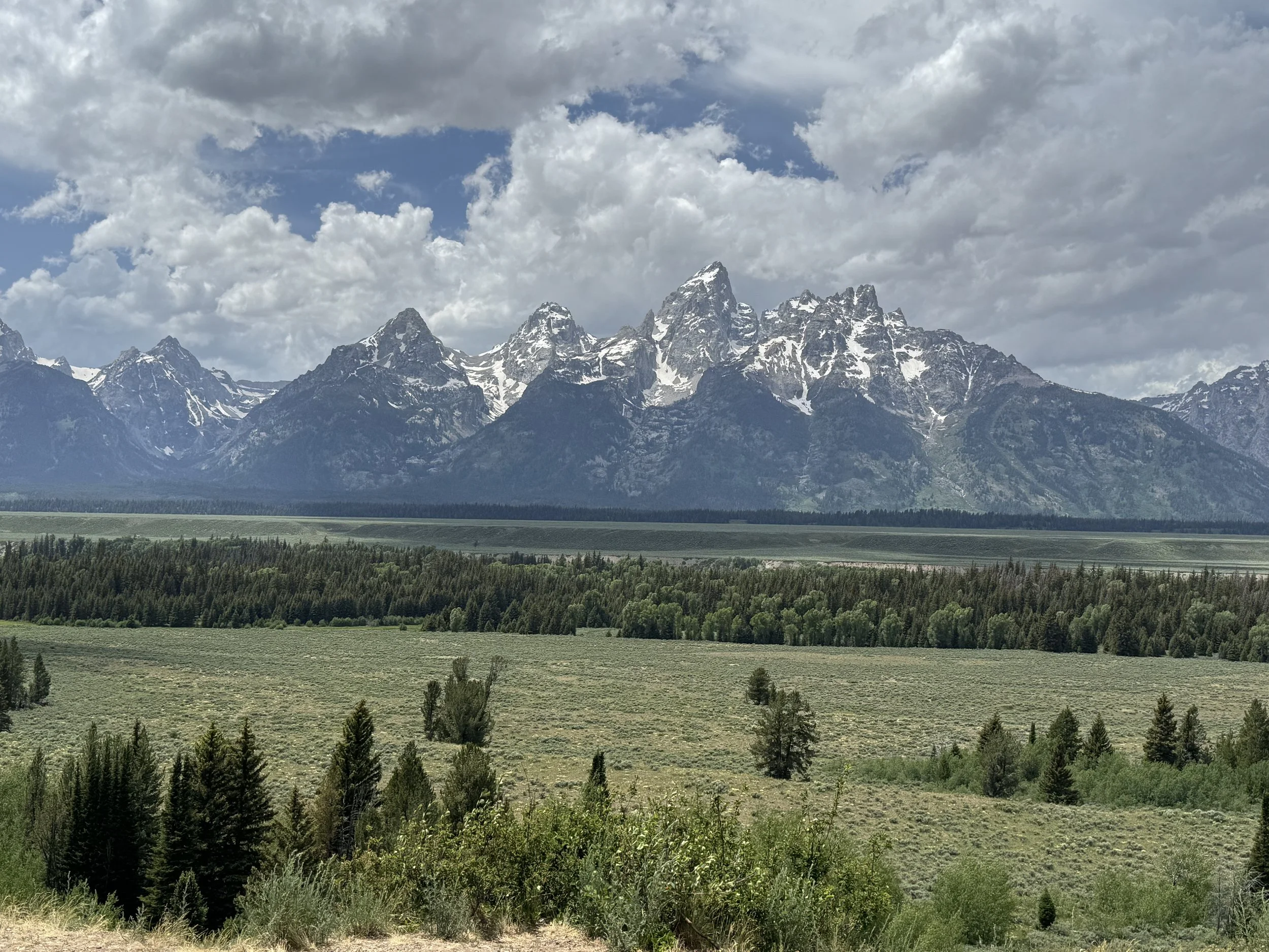 Snow-capped mountains under cloudy sky with green forest and grassland in foreground.