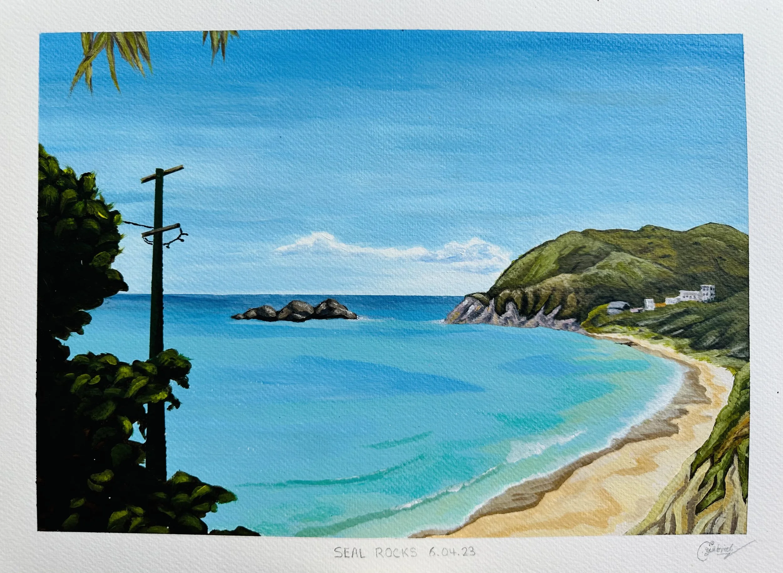 Blue Water Serenity Seal Rocks - Unframed Print