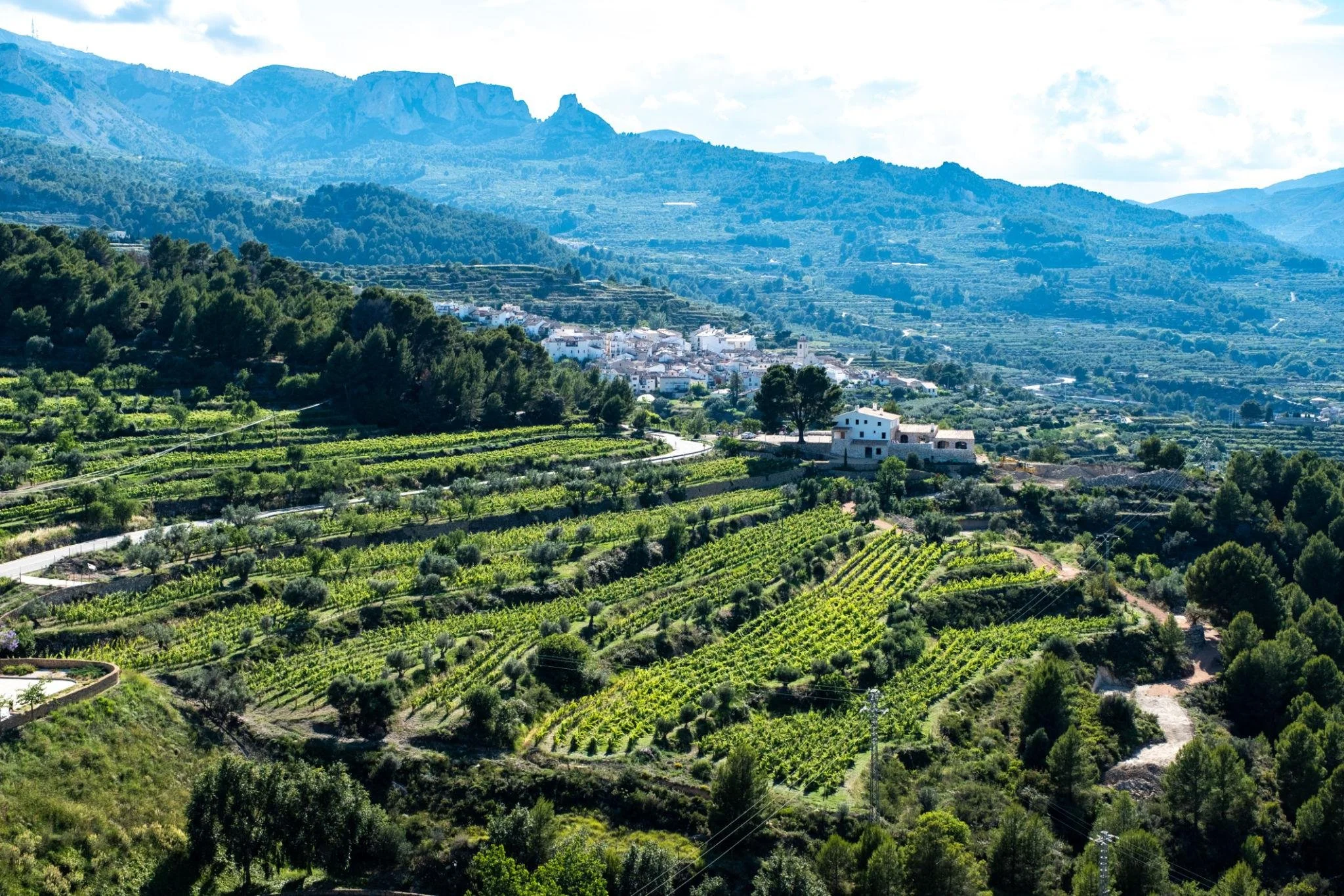 A Guide To Wine &amp; Country Inland Alicante