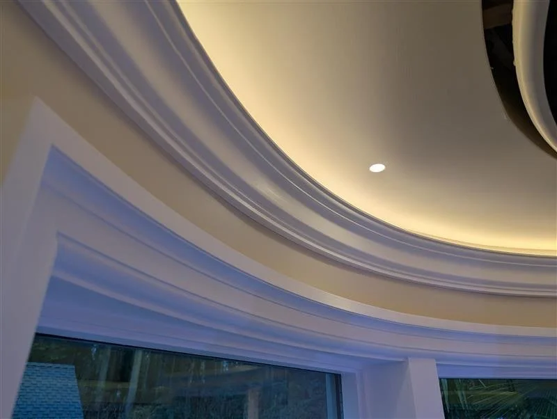 Close-up view of a ceiling with circular molding and recessed lighting, with a window visible at the bottom.