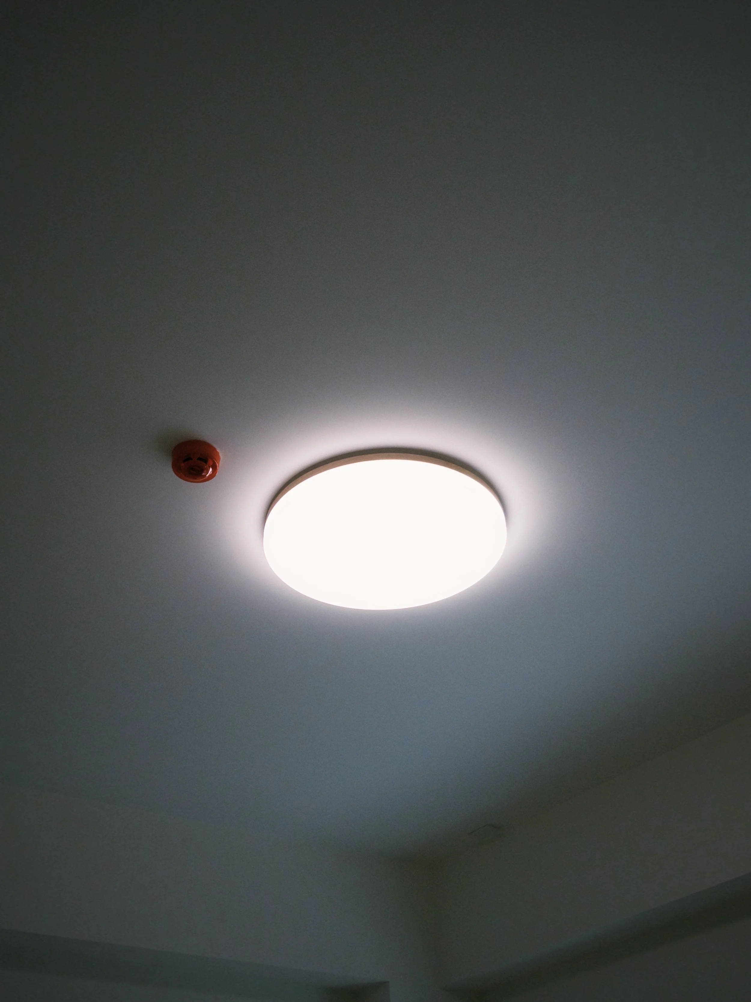 fxn 2026-07-02 111321900963BC52CC.JPG