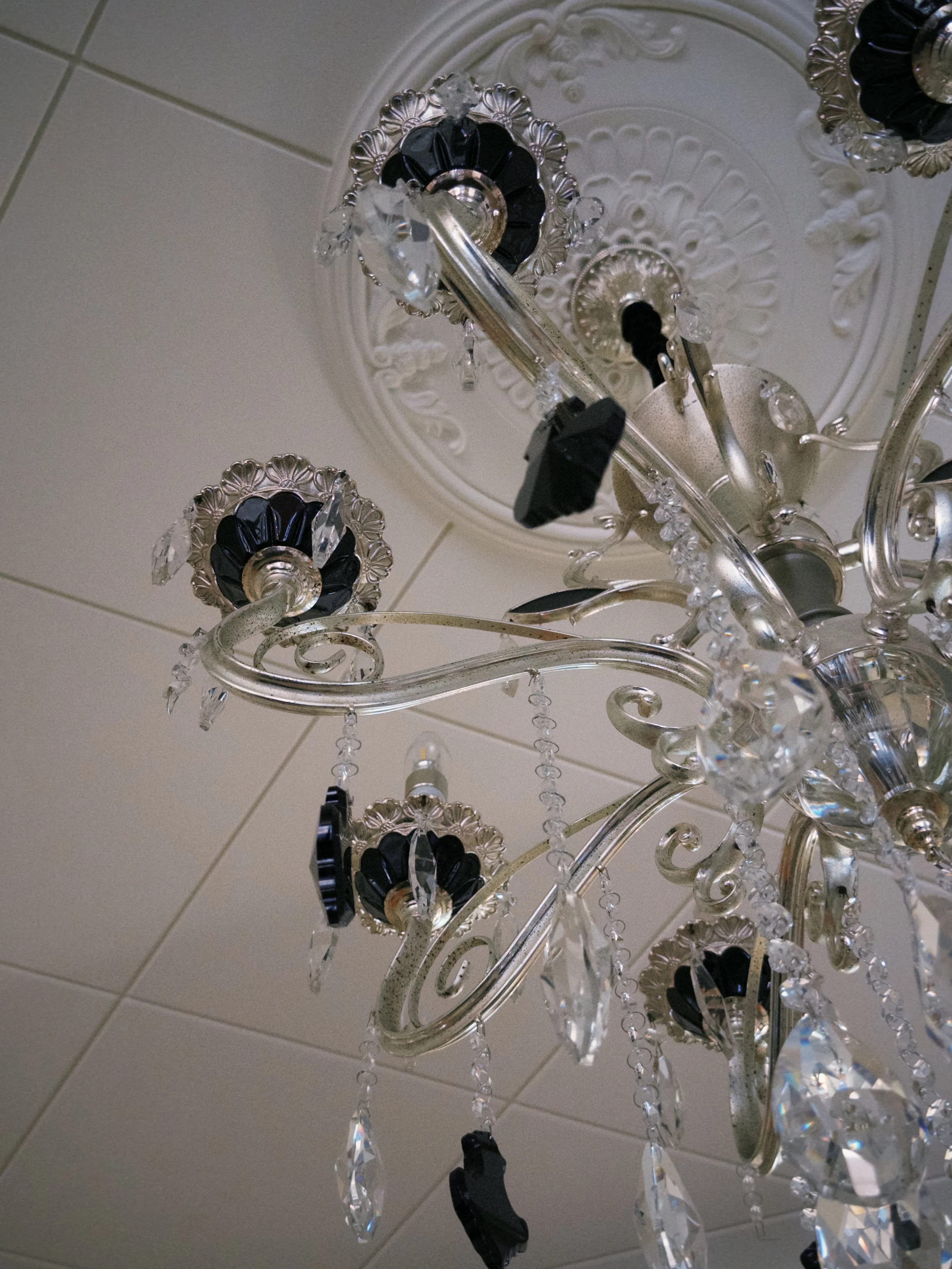 fxn 2026-06-20 141009D7768B1A5EAE.JPG