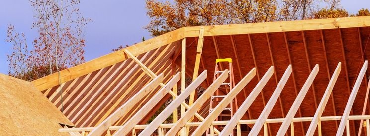 Wooden framework of a building under construction with a ladder and tree in the background.