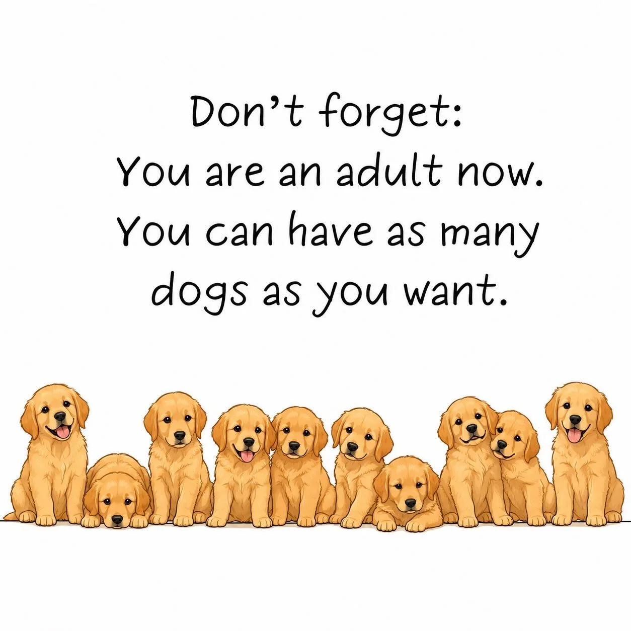 The Wise Goldens Summer 2026 reservation list is already halfway full. If you&rsquo;ve been thinking about a puppy, applications are open now 💛
