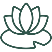 Outline of a lotus flower with a water lily pad.
