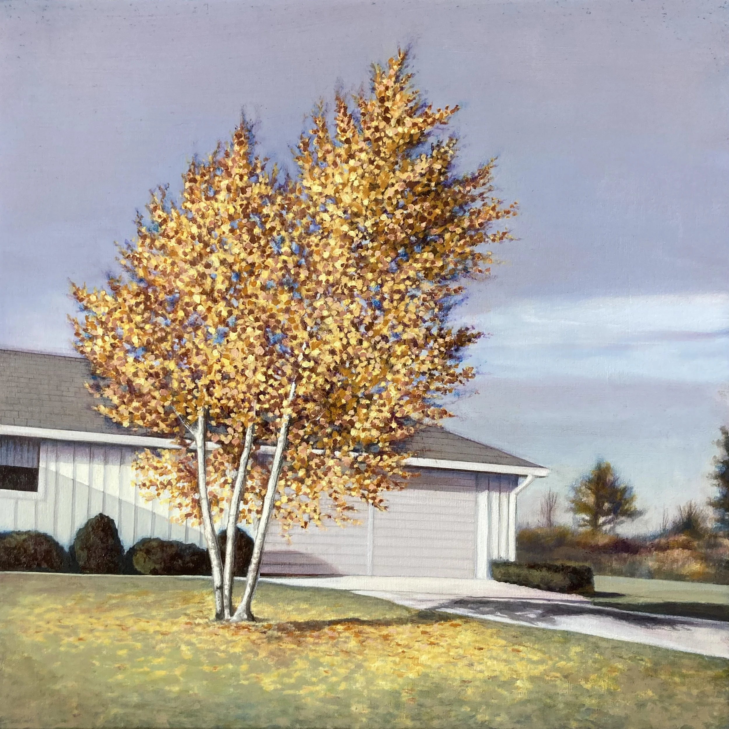 "Birch at Joy and Maurice's 1960", 16x16in, oil on panel, 2022 (private collection)