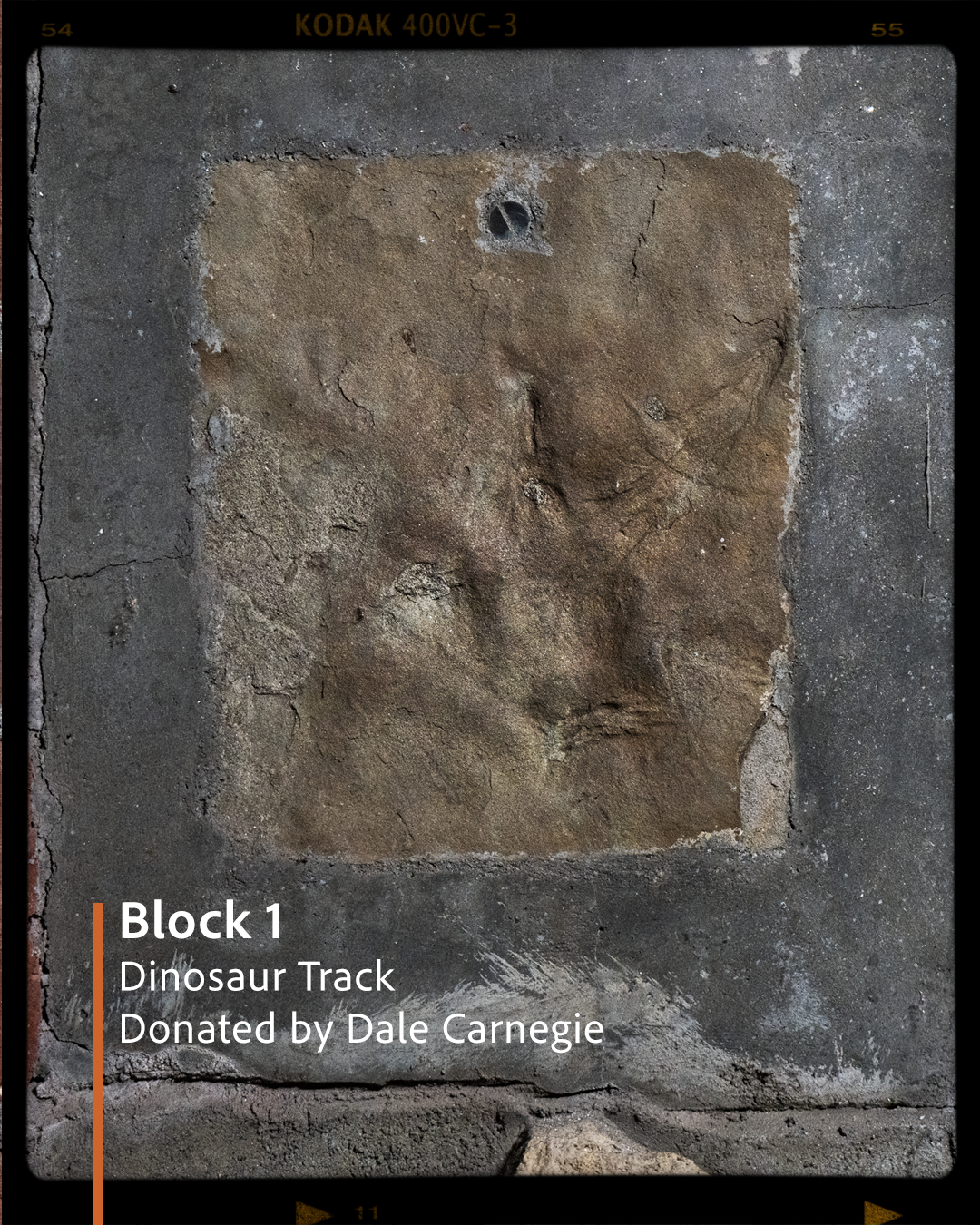 Block 1 B.png
