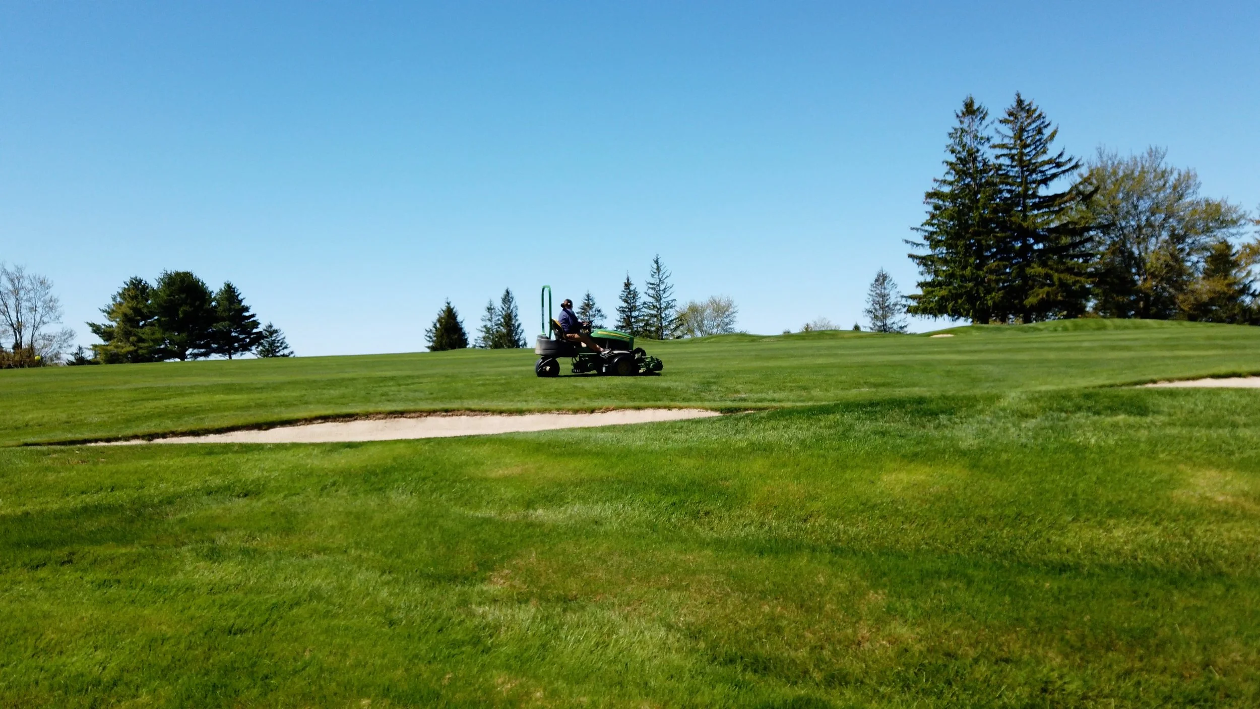 A person riding a lawn mower on a green golf course with sand bunkers, trees, and a clear blue sky in the background.