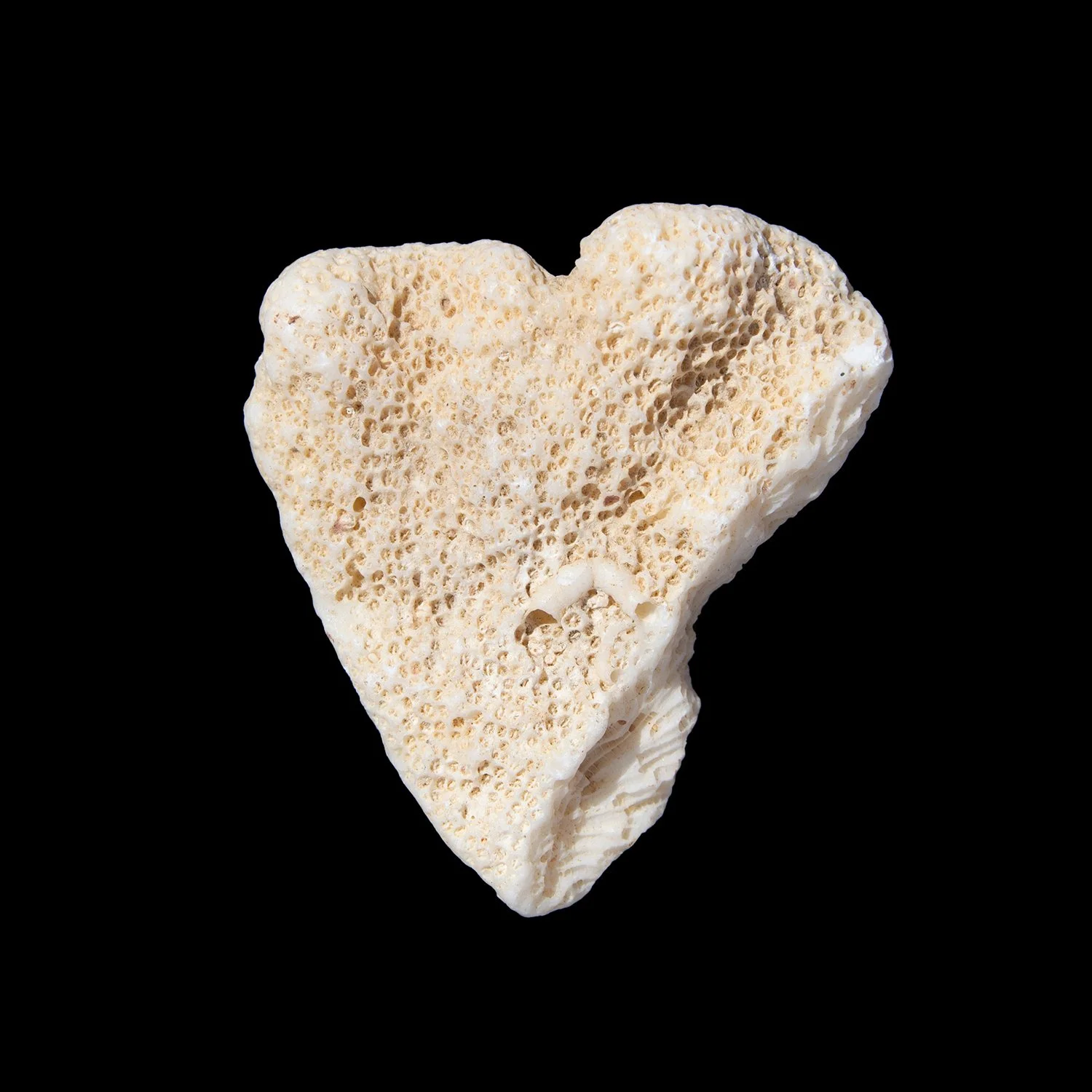 ©Maia Rose Landau_Heart Rocks_R.jpg