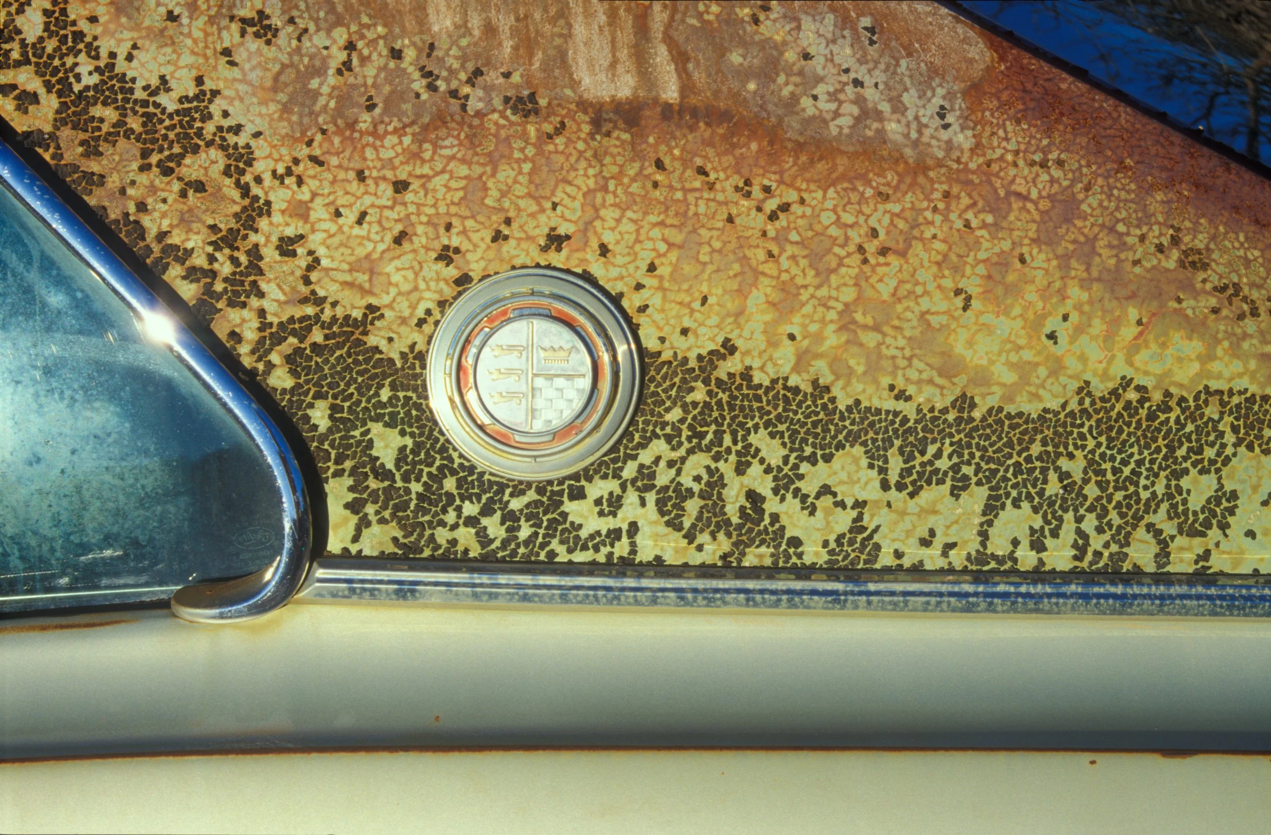 ©Maia Rose Landau_Cars002.jpg