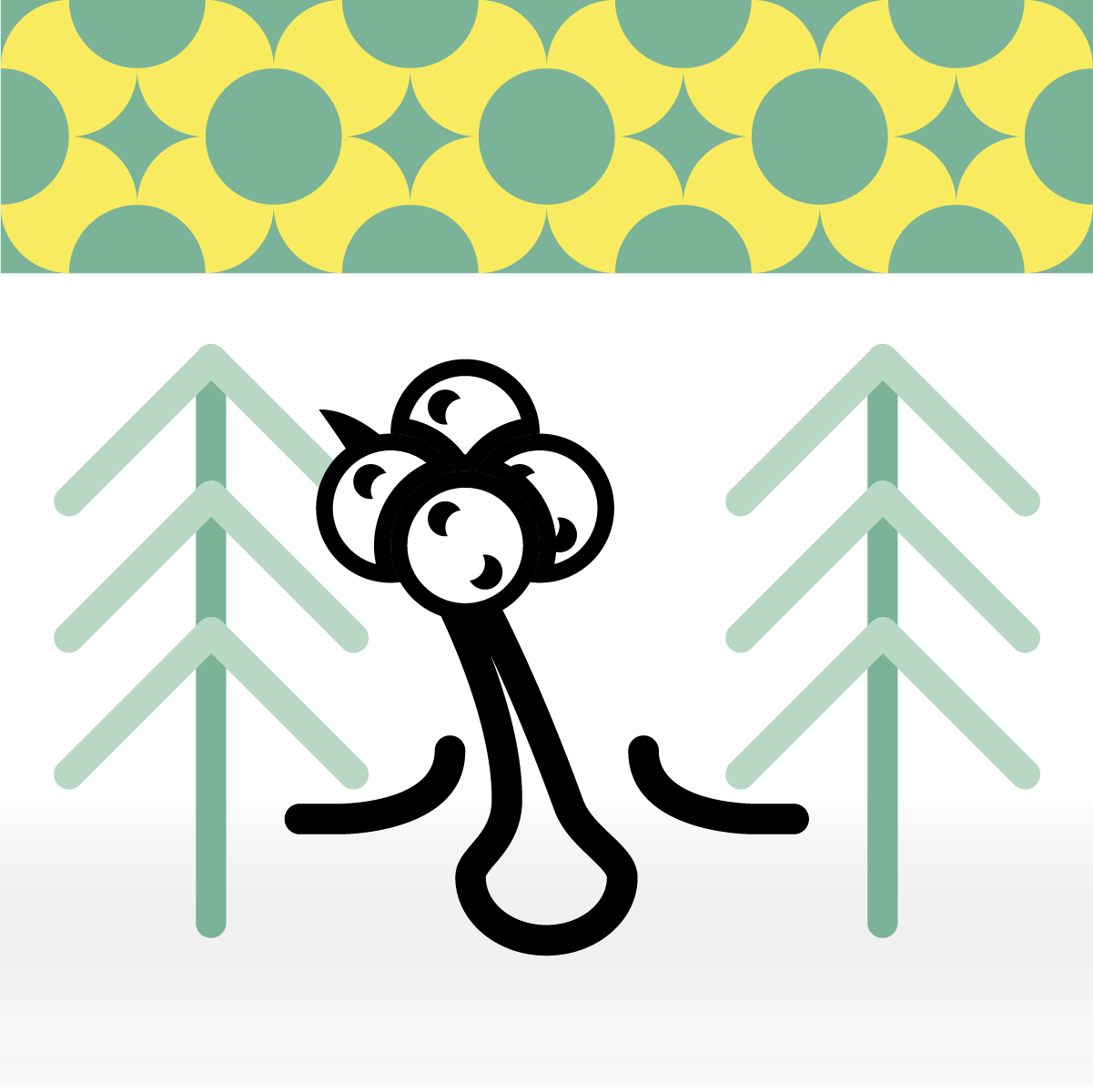 Pine scented shampoo
