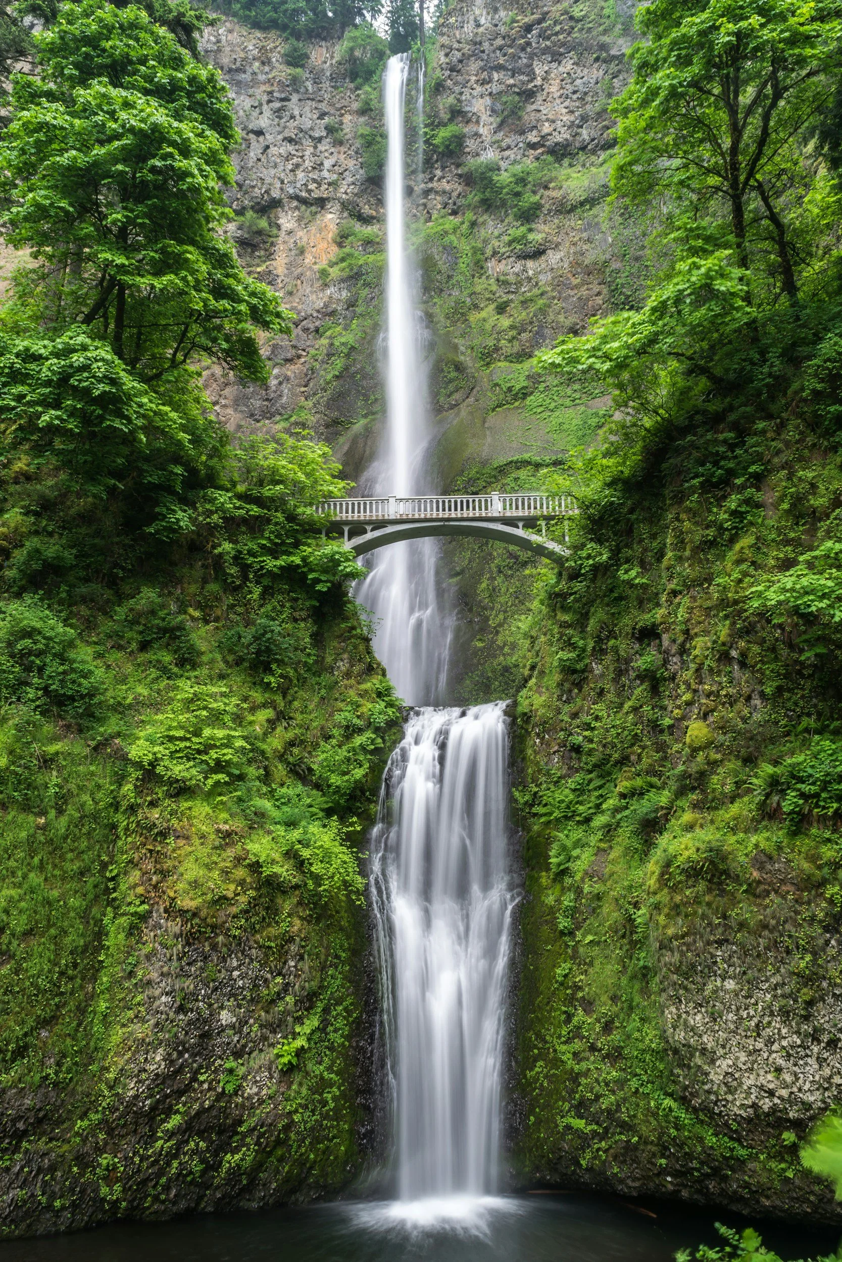 The image shows a multi-tiered waterfall surrounded by lush, green trees and moss-covered rocks, with a small white bridge crossing above the lower part of the waterfall.