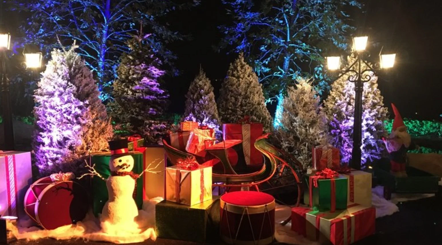 seth snowman sleigh vignette.jpg