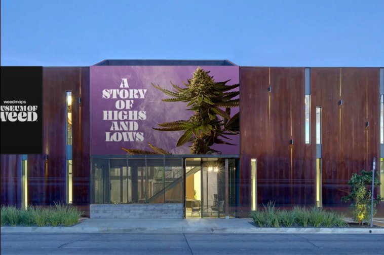 Case Study: Weedmaps Museum of Weed