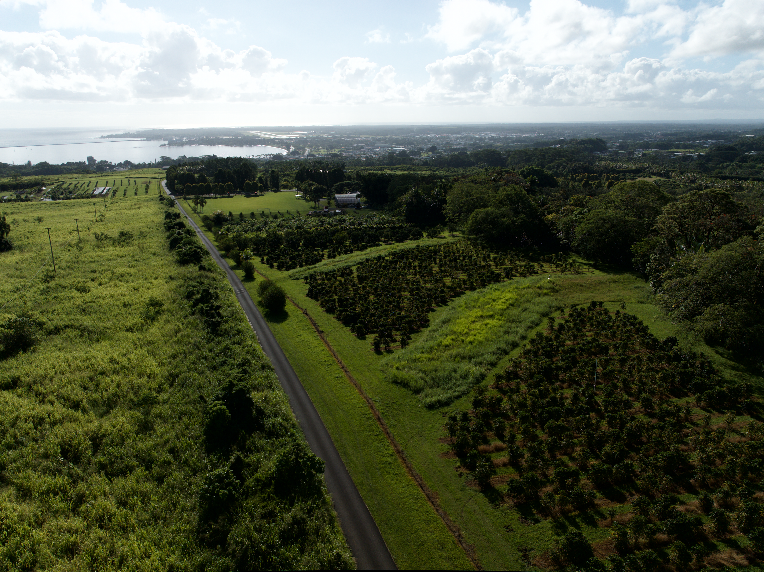Grant Opportunity: HiGPA
