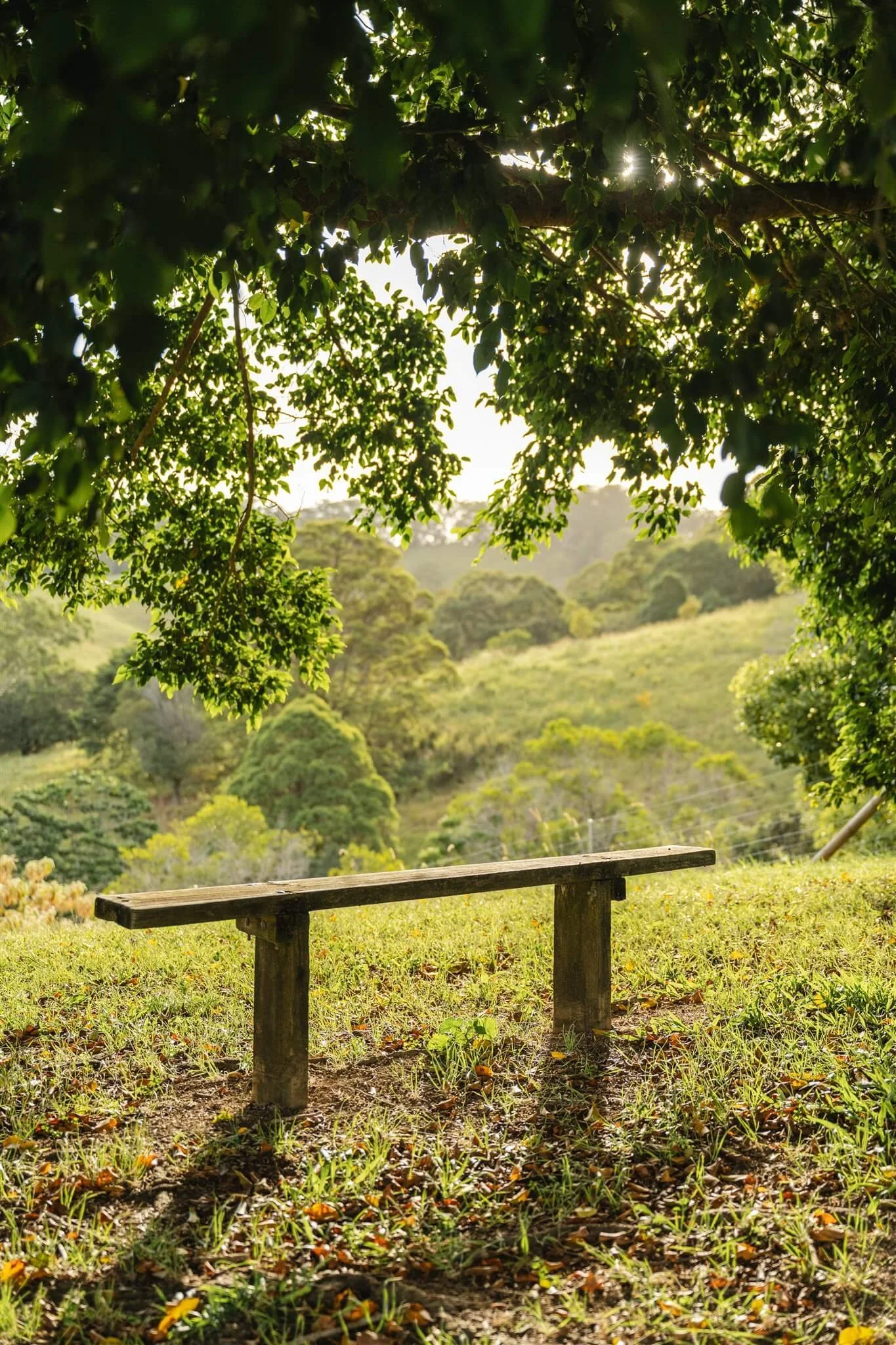 marys-holiday-home-rental-sunshine-coast-hinterland-dsc-8049.jpg