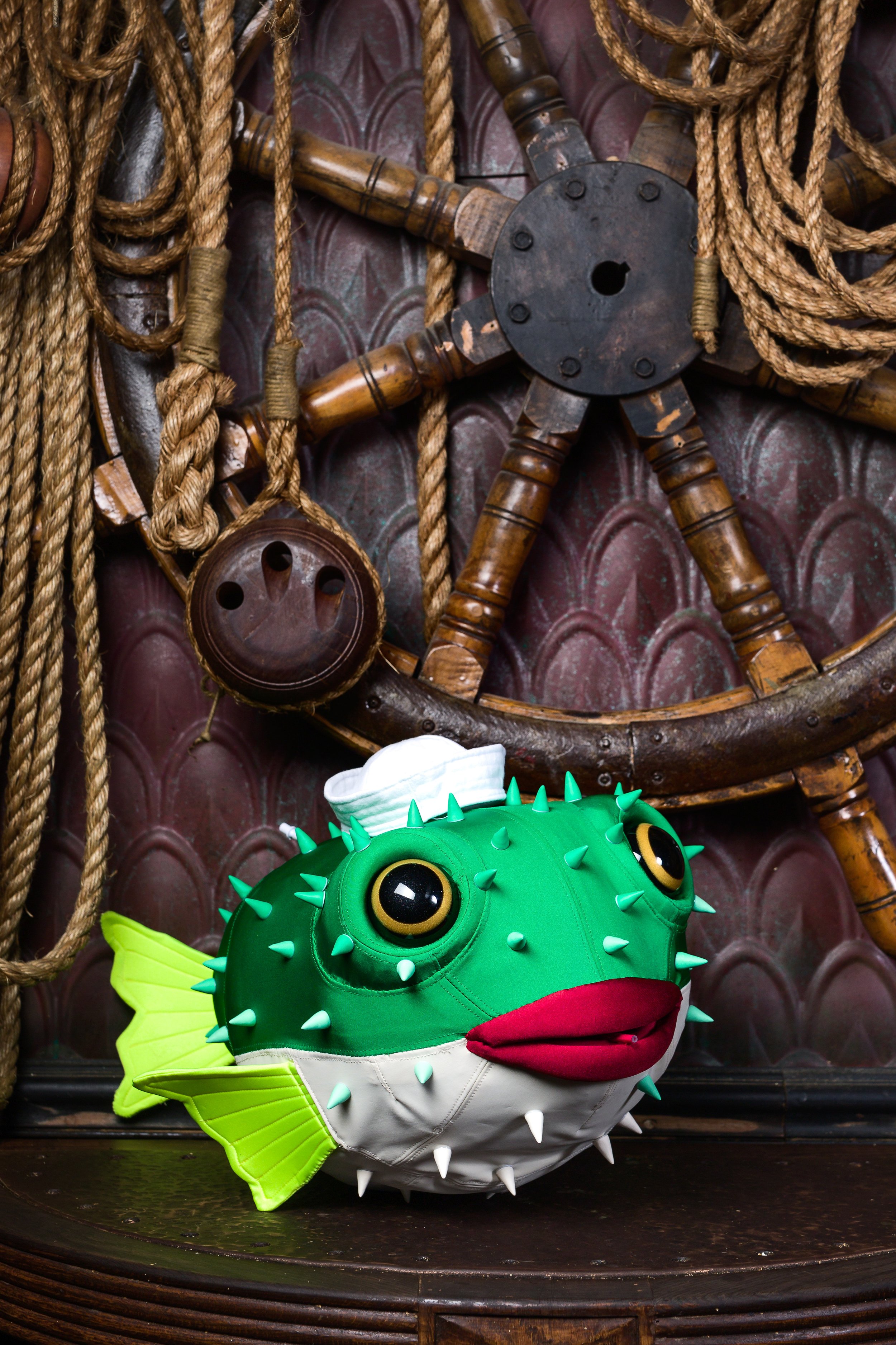 Child Puffer Fish Portrait.jpg