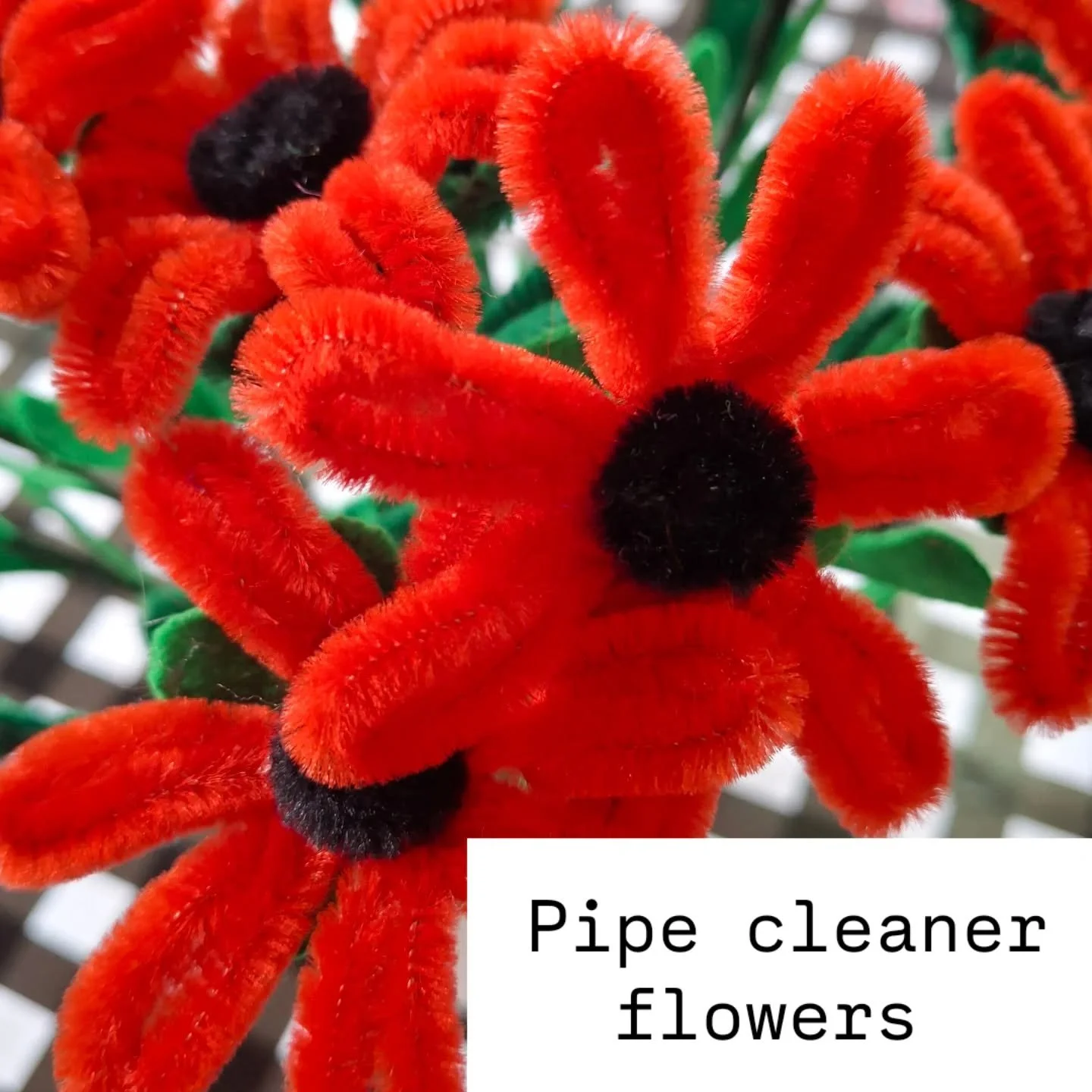 Don't sew? Got a corner in the house that needs brightening up now that winter is here? Cheerful flowers made from pipecleaners last ages, make terrific gifts and are fun to whip up. At this workshop, we'll supply what you need to make a small bouque
