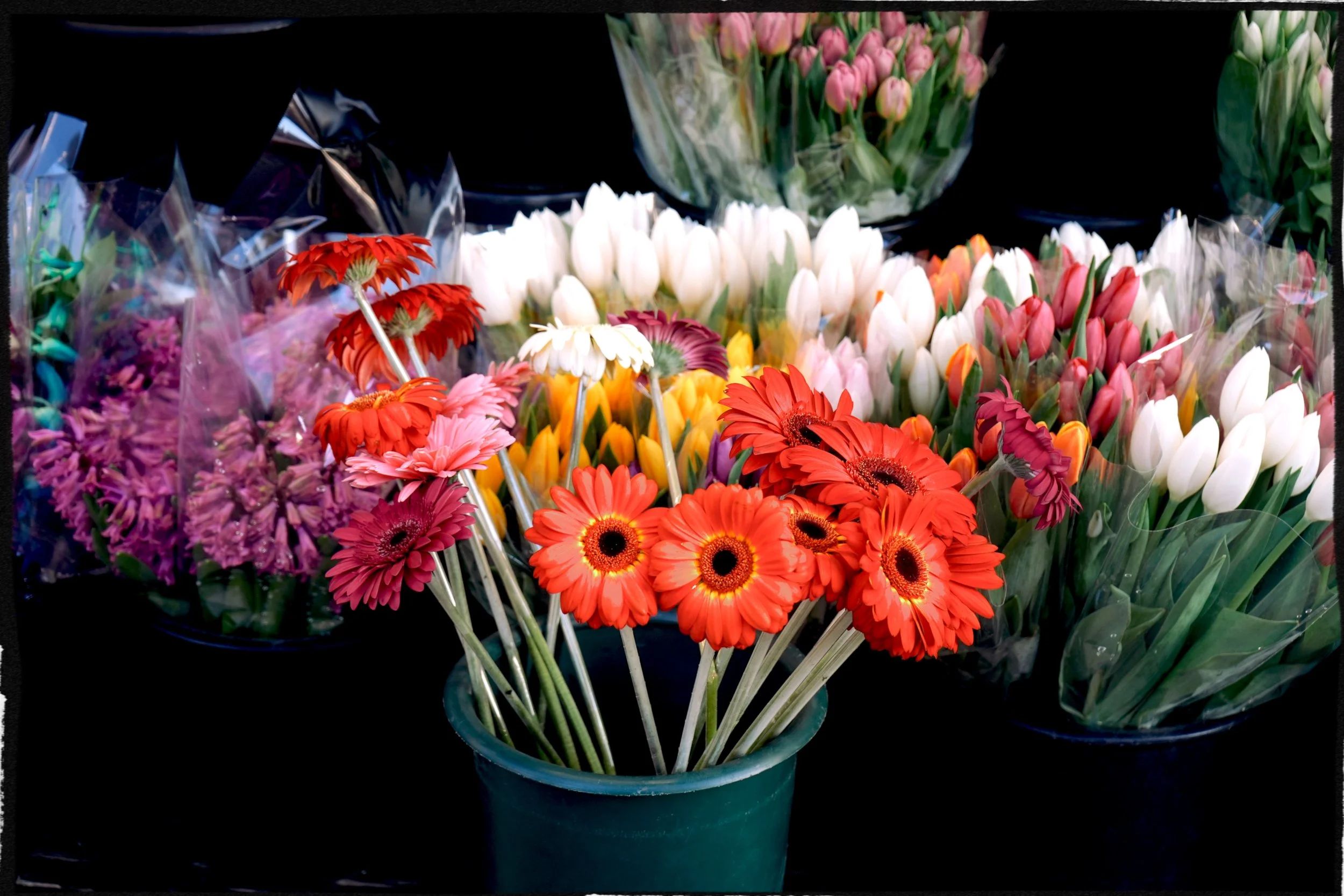 Colorful bouquet of various flowers including pink, white, red, orange, and purple tulips and gerbera daisies in a green pot with similar flowers wrapped in plastic in the background.