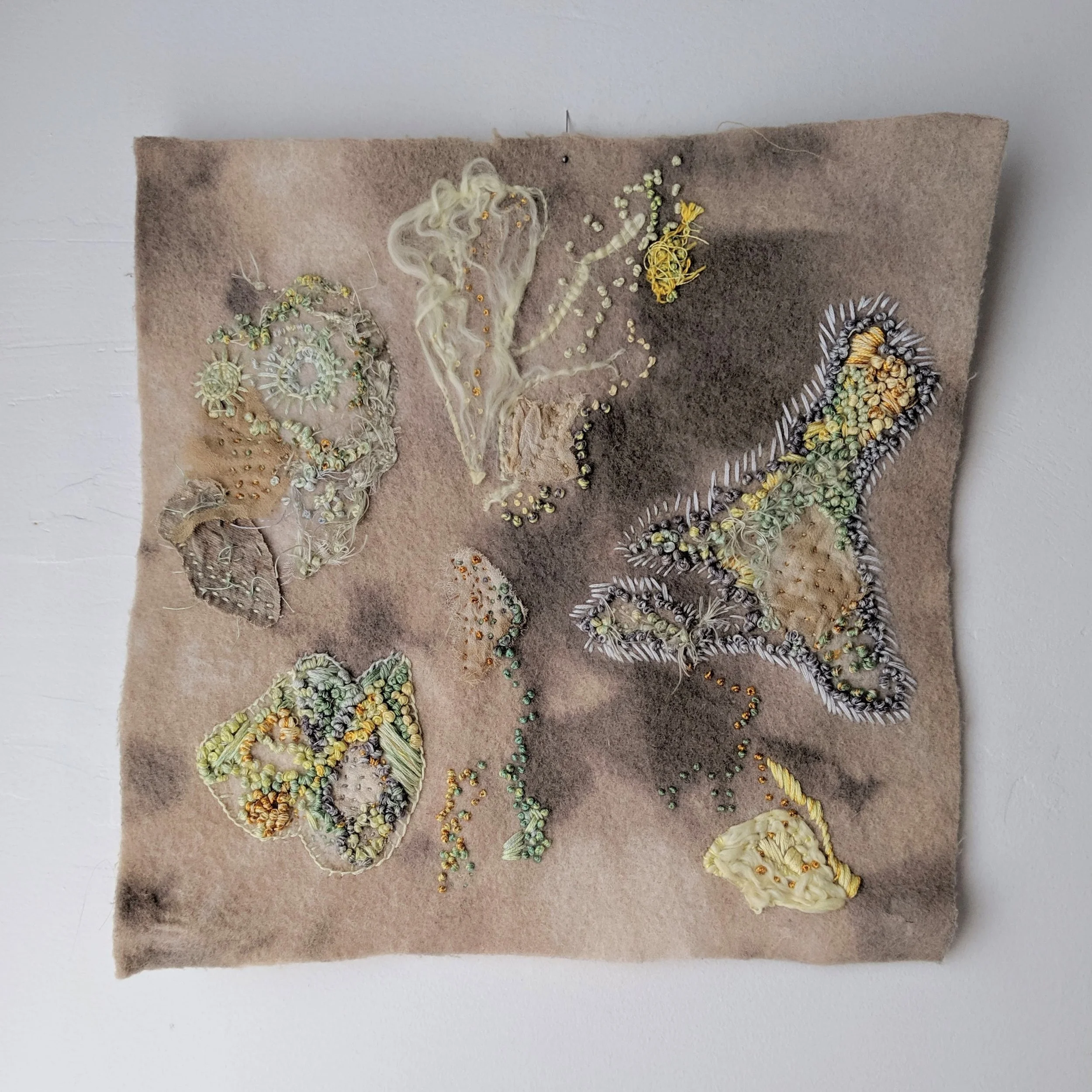 Studies of Lichen - 30 cm x 30 xm - Original - Unframed