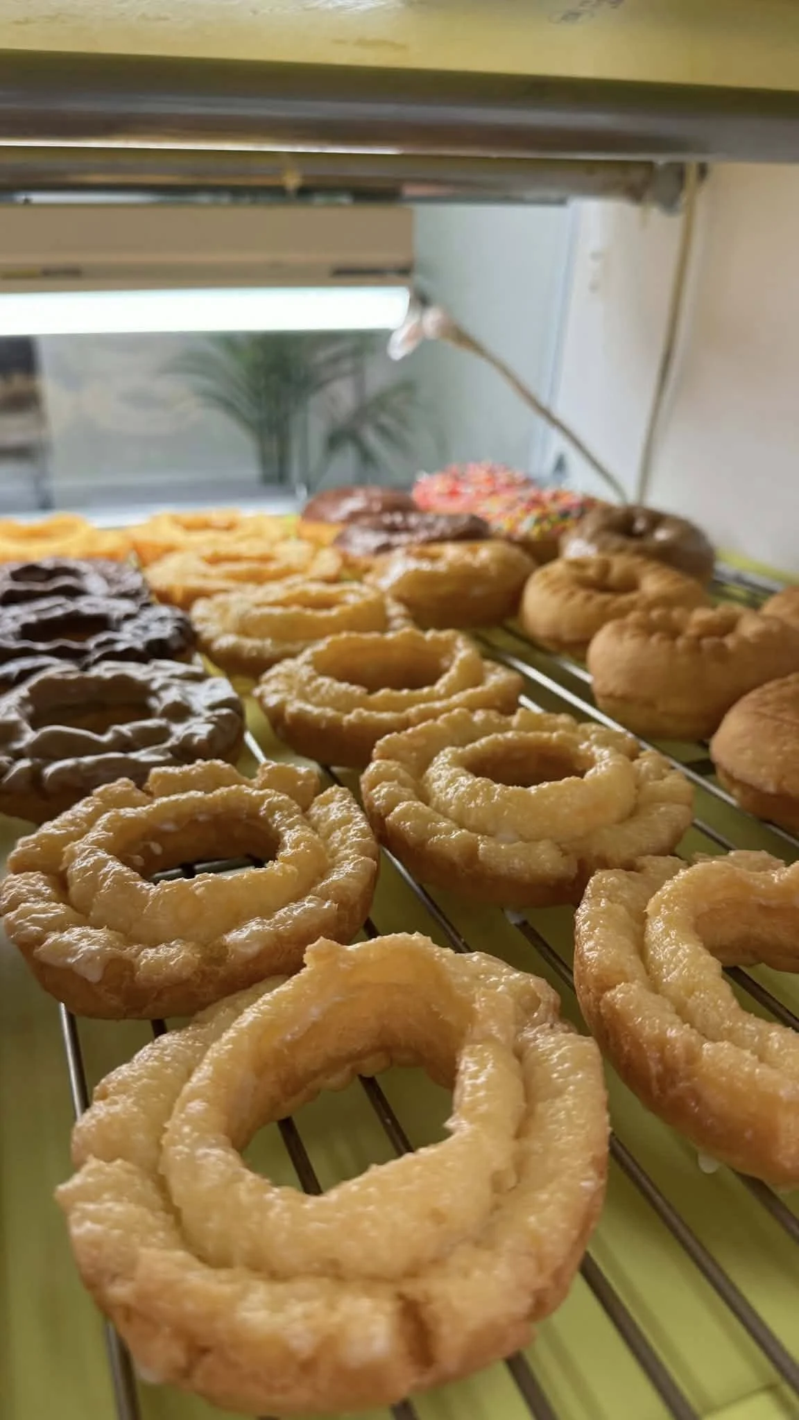 Close-up of a rack of assorted donuts, including glazed, chocolate, and sprinkled varieties, with a blurred background.
