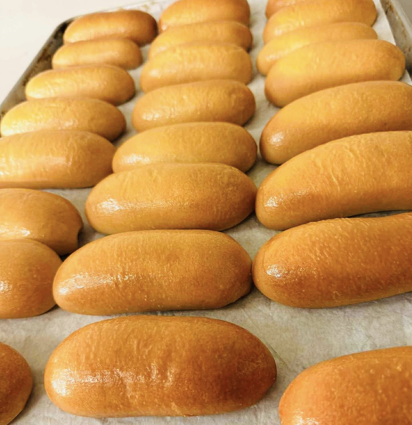 Rows of freshly baked bread rolls on a baking sheet.