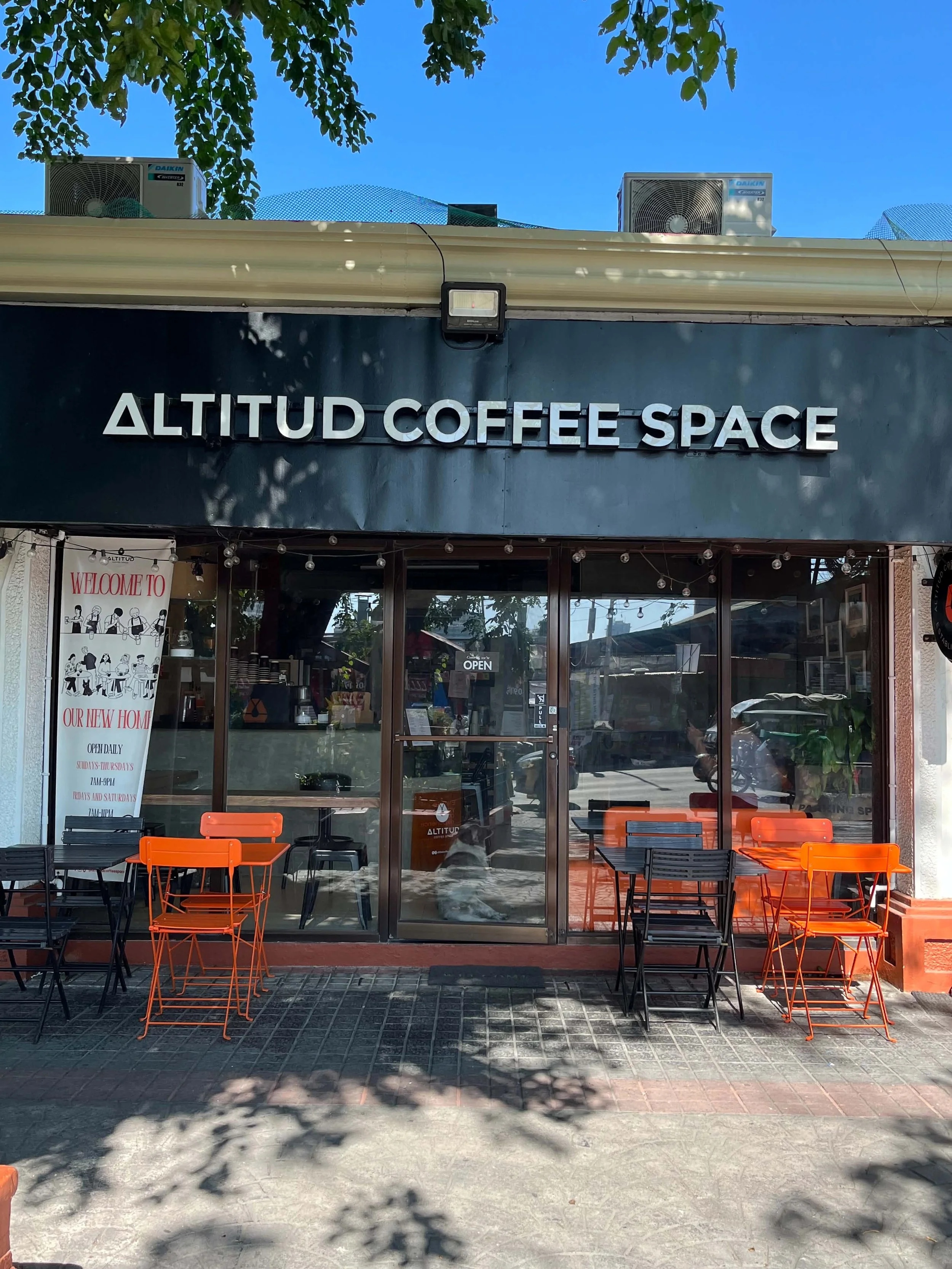 How Altitud Coffee Space Became Home to Its Community Animals