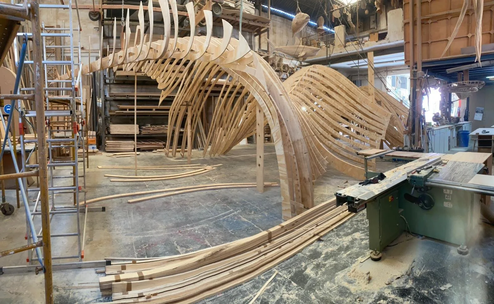 WhatsApp Image 2026-02-24 at 12.55.21 PM.jpeg