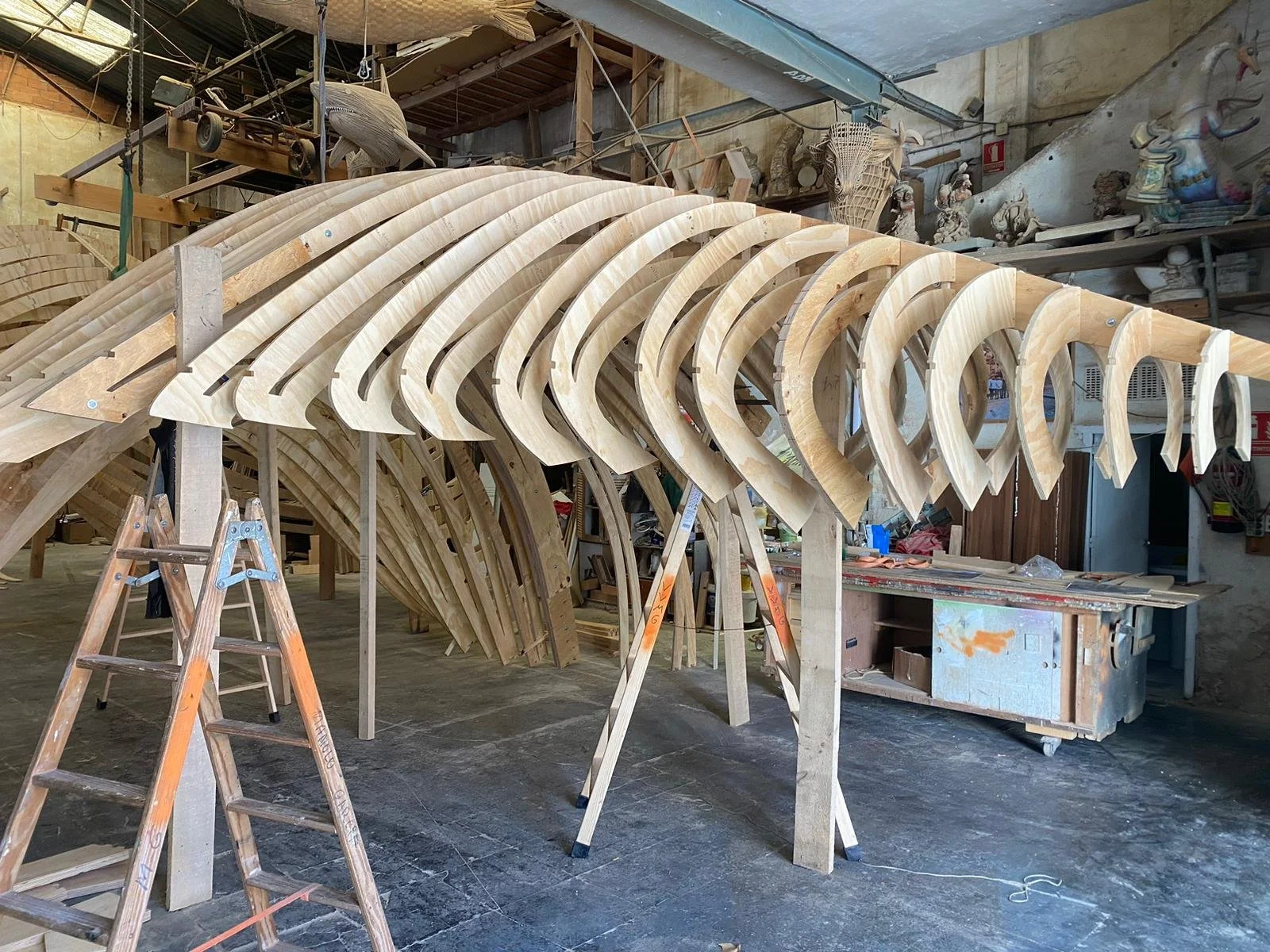 WhatsApp Image 2026-02-24 at 12.55.15 PM.jpeg