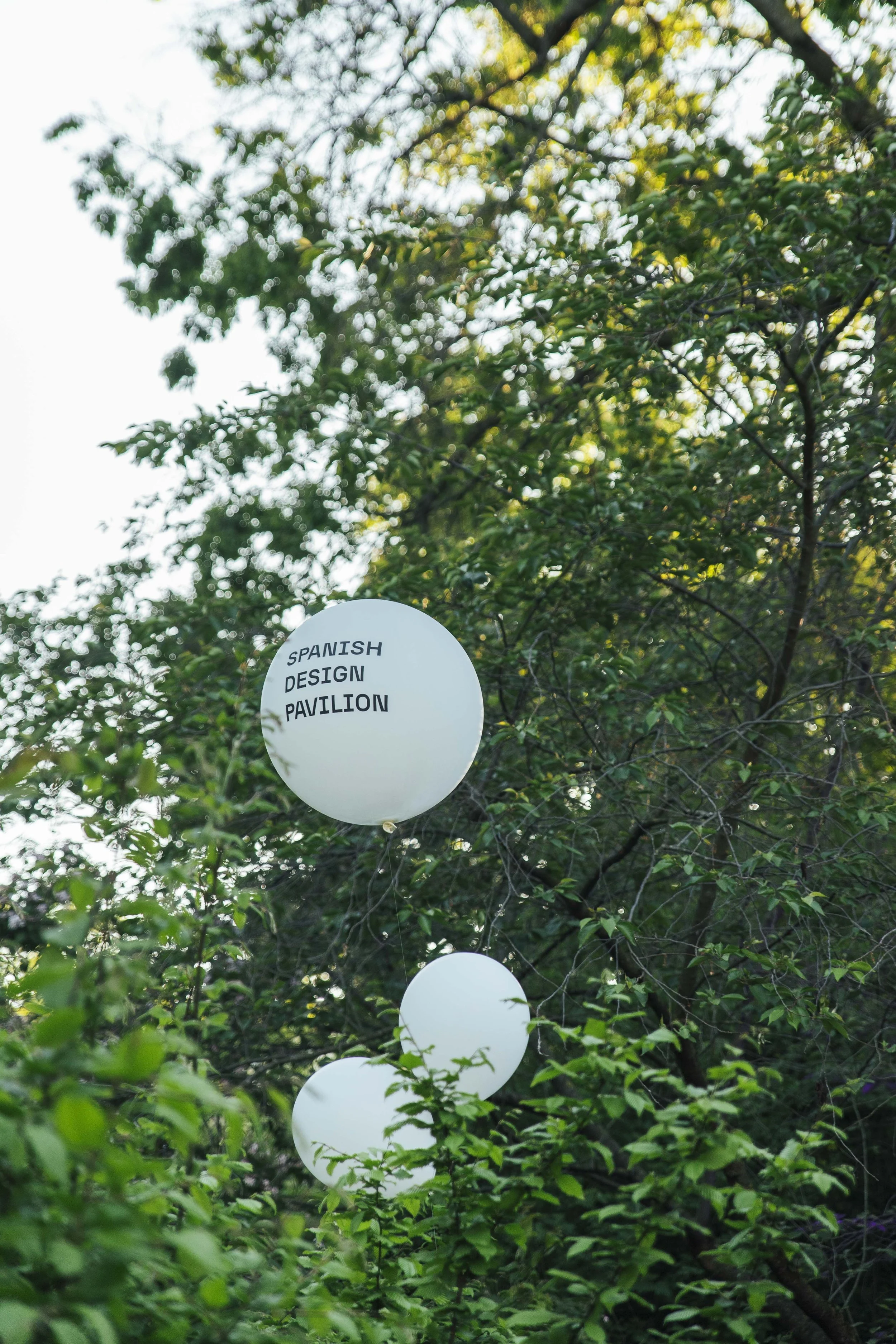 20260429_©UrbanMediaProject_150dpi_125.JPG