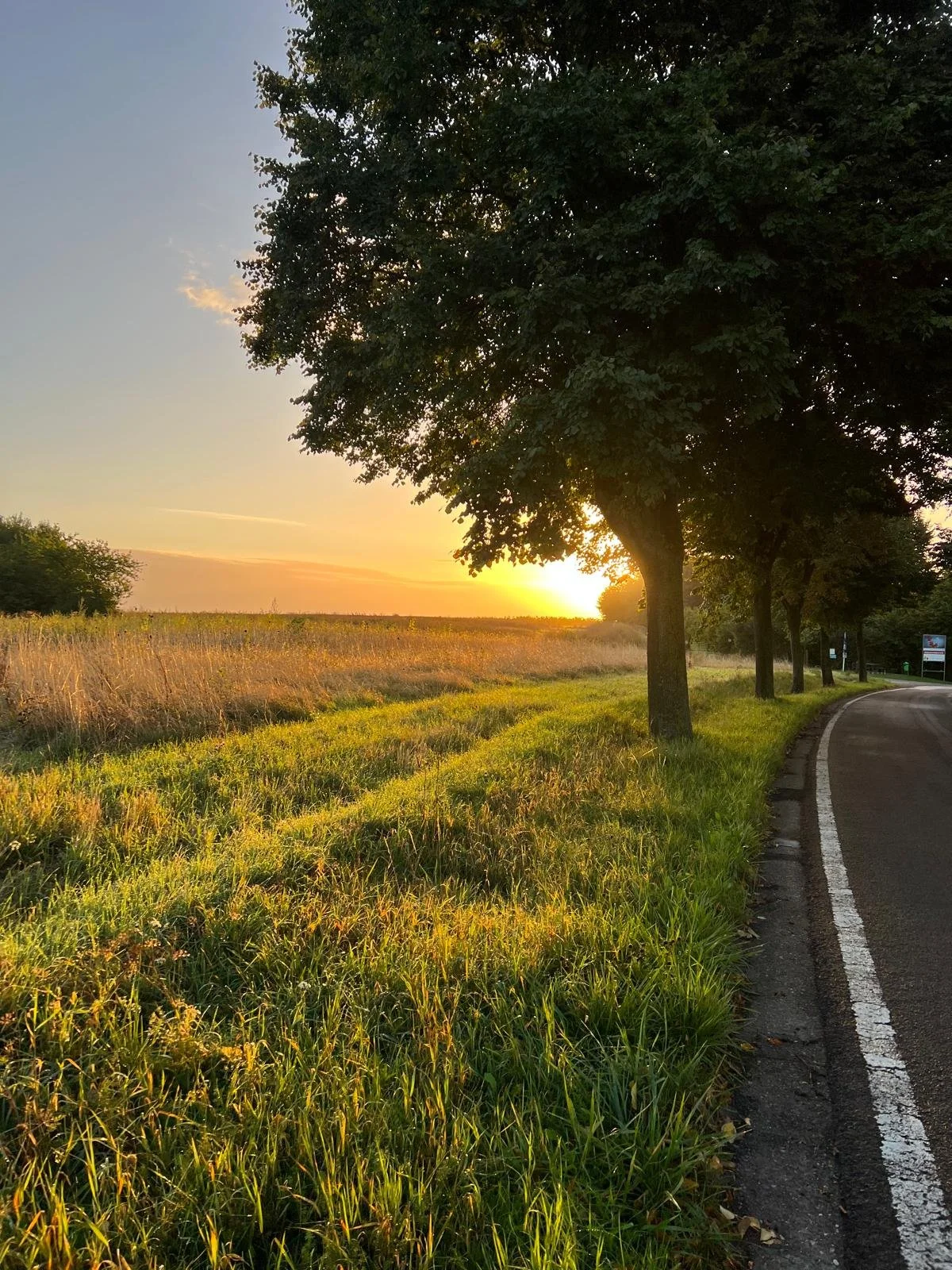 De afbeelding toont een zonsondergang boven een landelijk landschap met grasvelden en een rechte weg met bomen aan de zijkant.