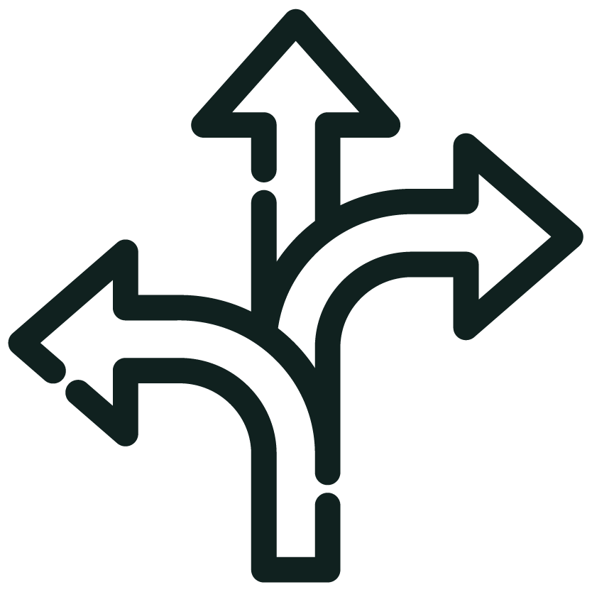 A black icon of a decision-making flowchart with multiple arrows branching in different directions.