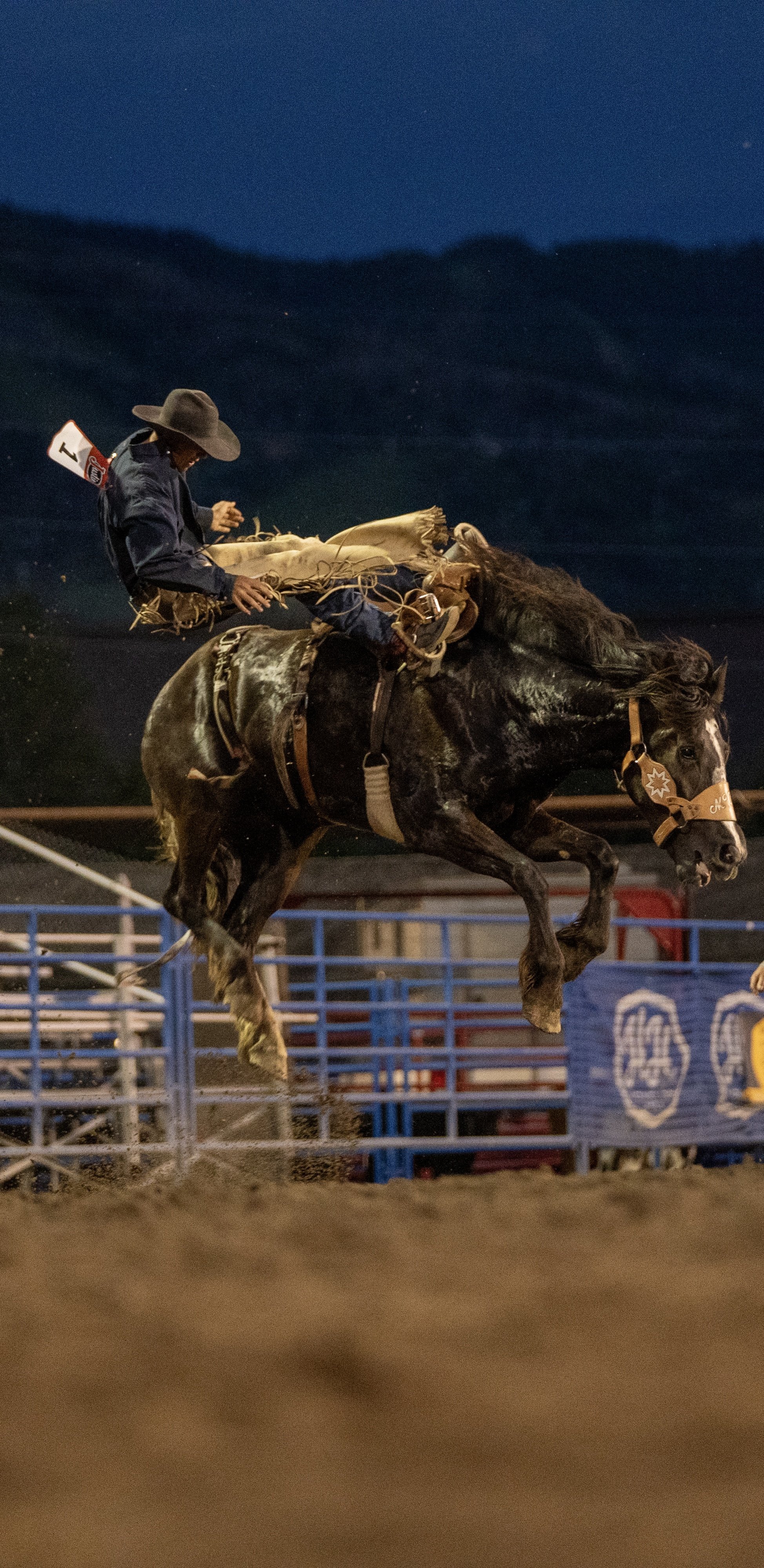 Steamboat Pro Rodeo