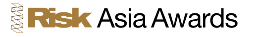 The image shows the words 'Cyber Risk' with the word 'Cyber' in black and 'Risk' in gold.