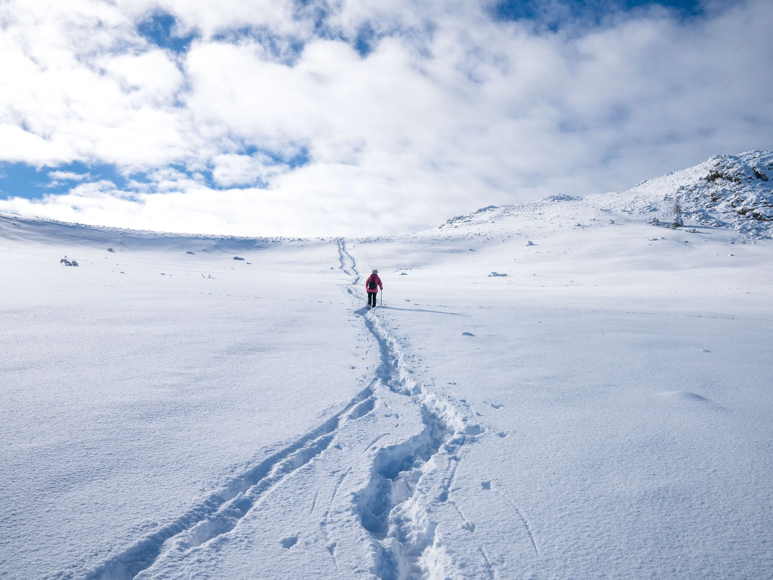 Summit to Mount John