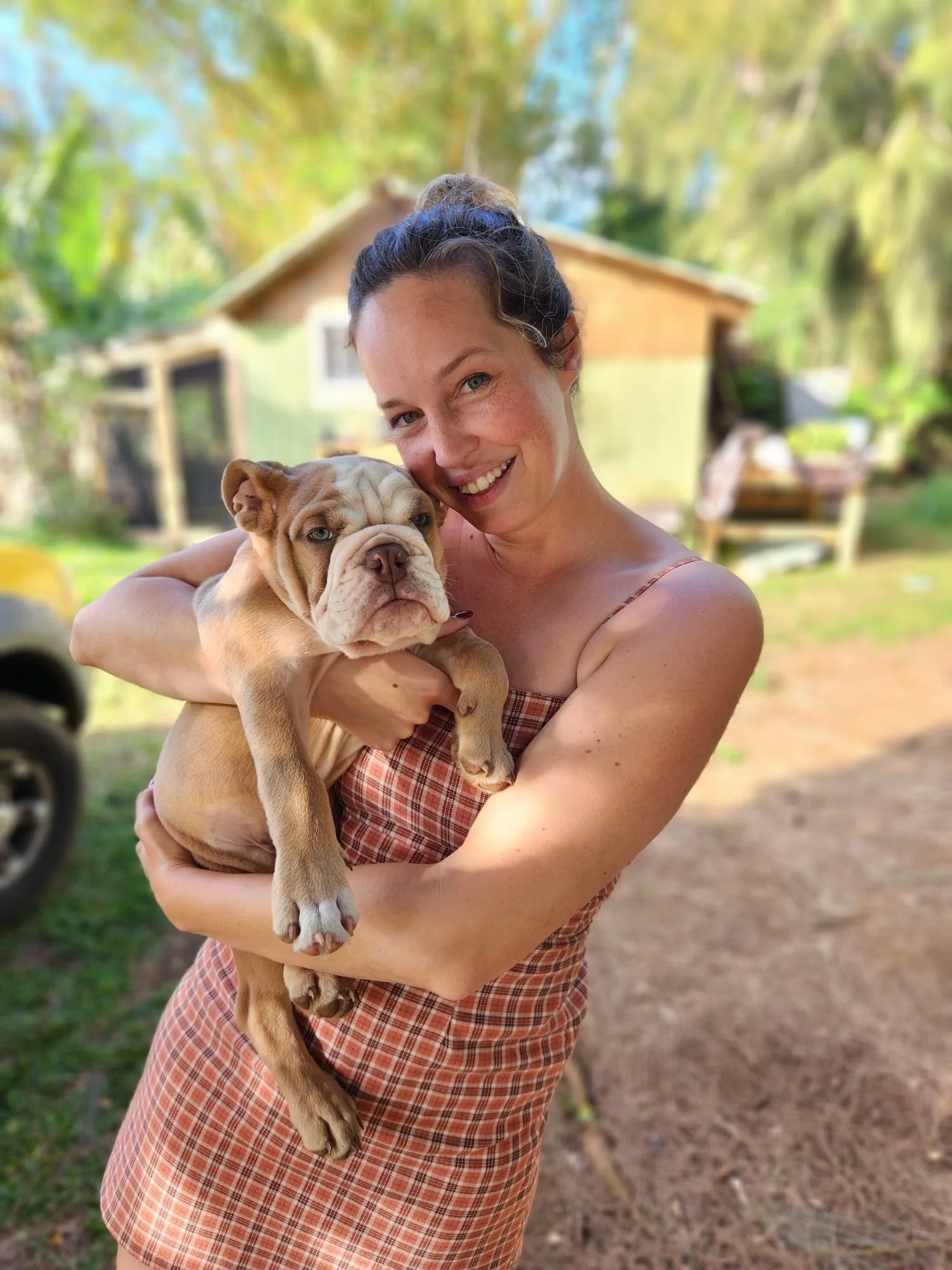 A woman, live wedding painter, holding a bulldog puppy outdoors with trees and a house in the background, on Maui.